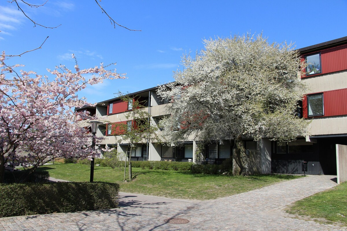Vildandsvägen, Lund