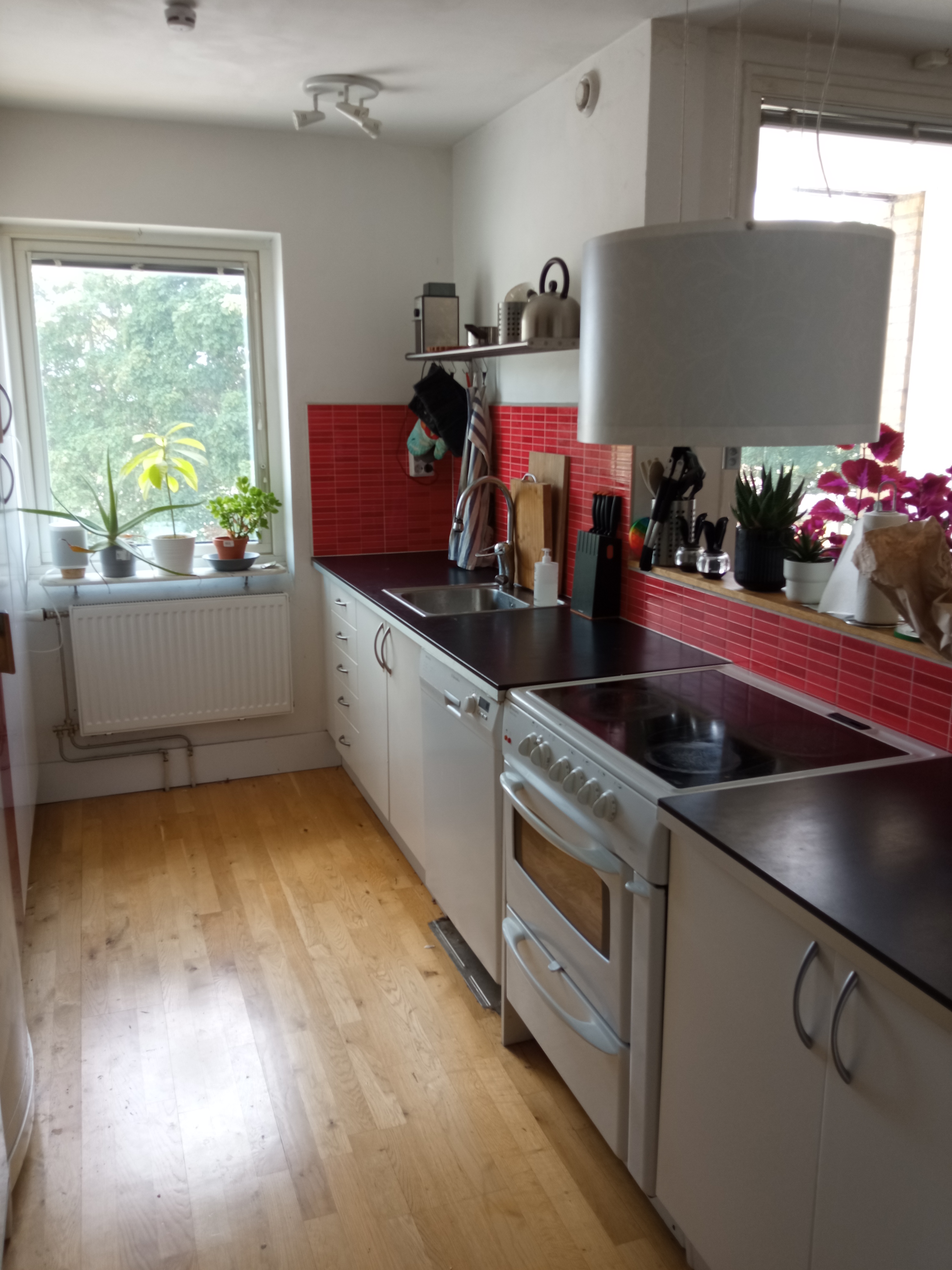 Bellmansgatan, Uppsala — photo 3