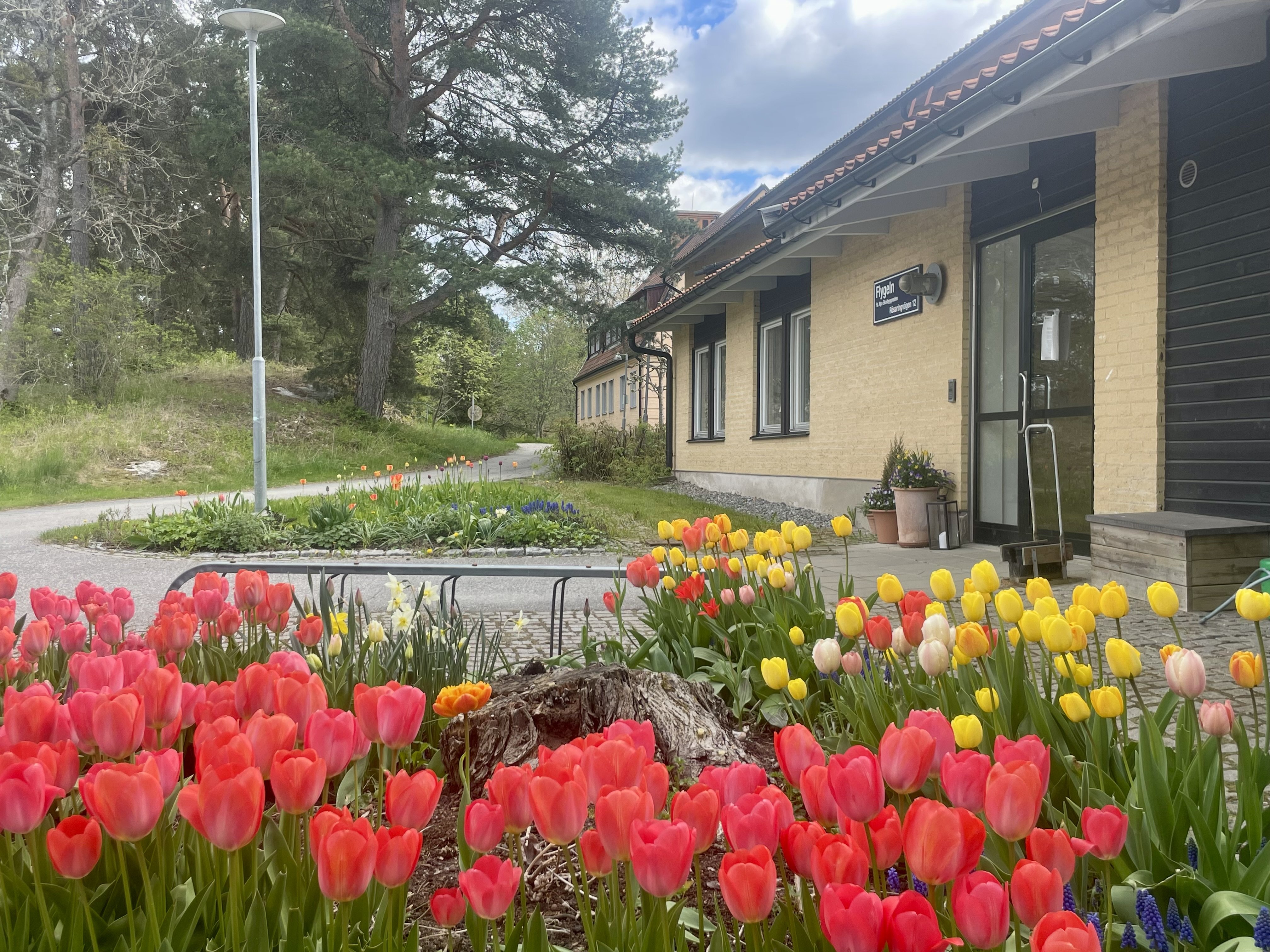 Rösaringvägen