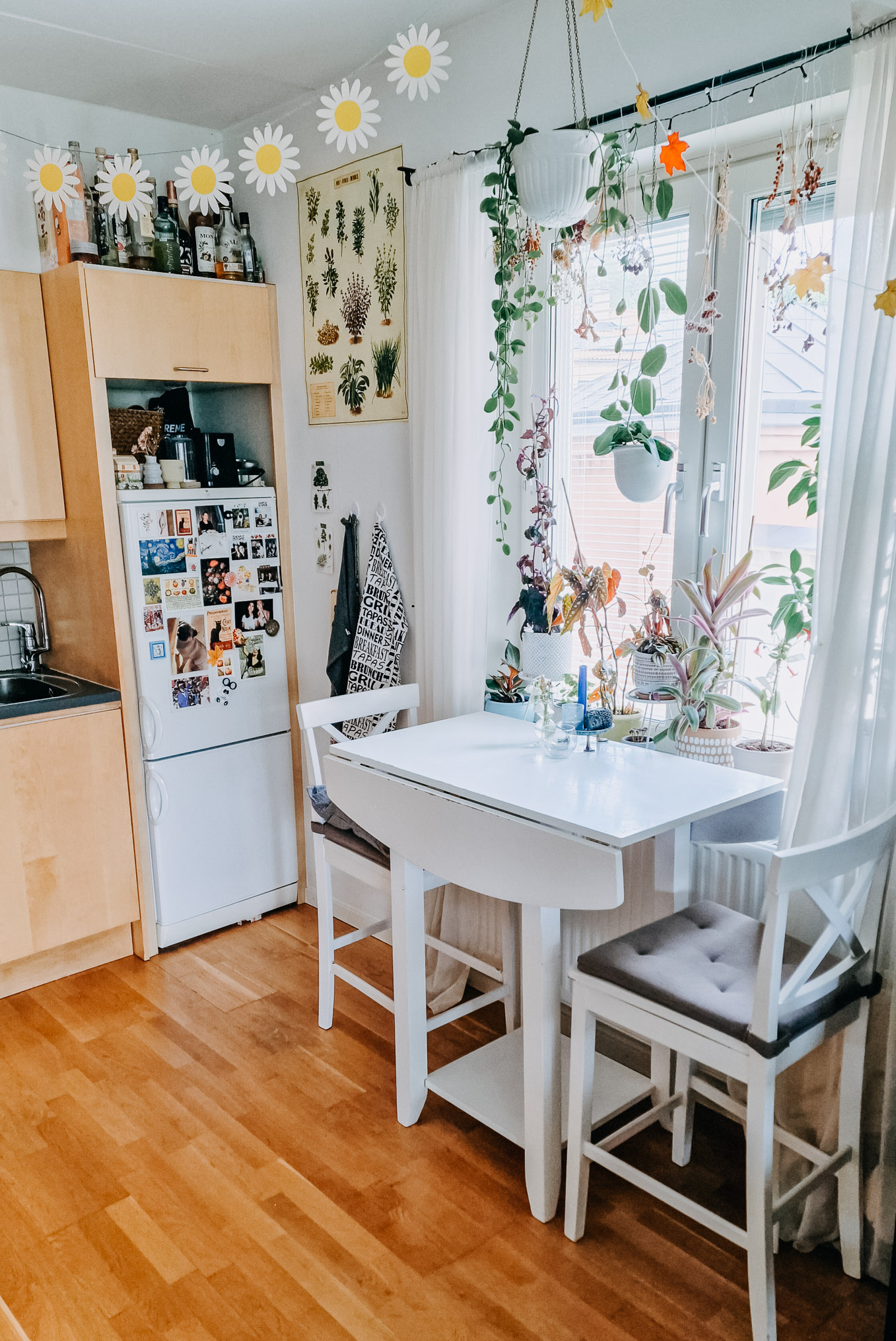 Dag Hammarskjölds Väg, Uppsala