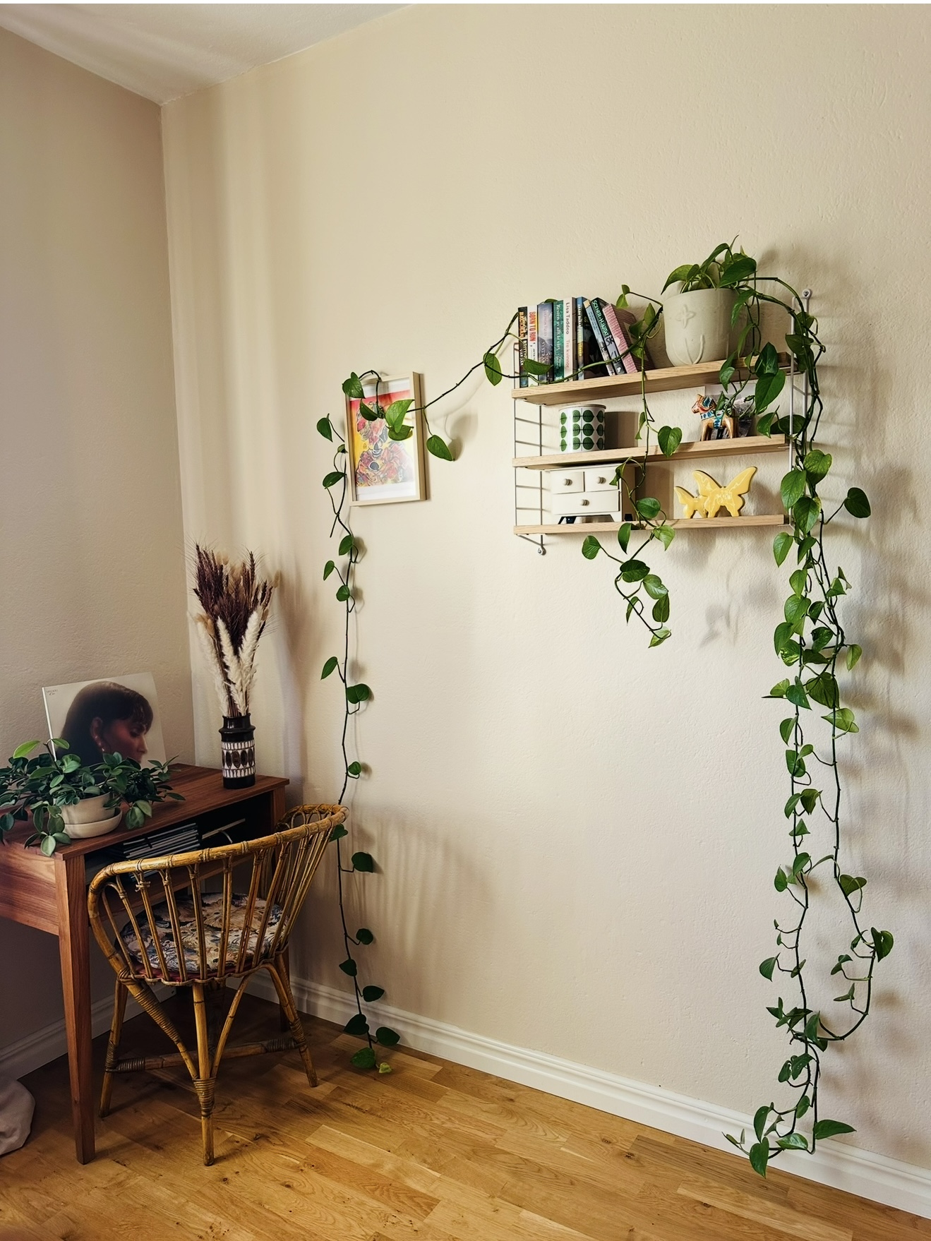 Svartbäcksgatan, Uppsala — photo 2