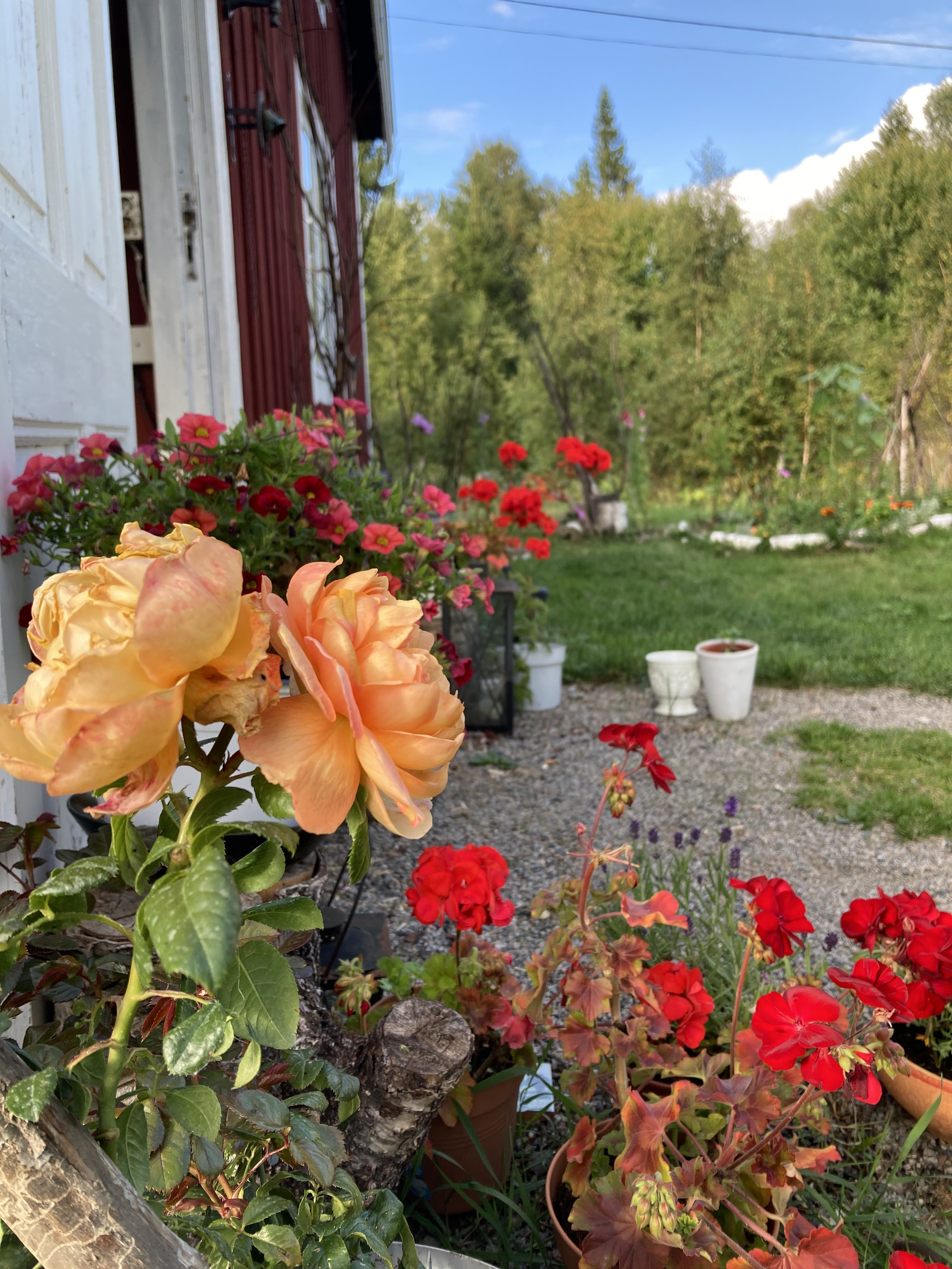 3 rok · 70 m² i Svärdsjö – bild 14