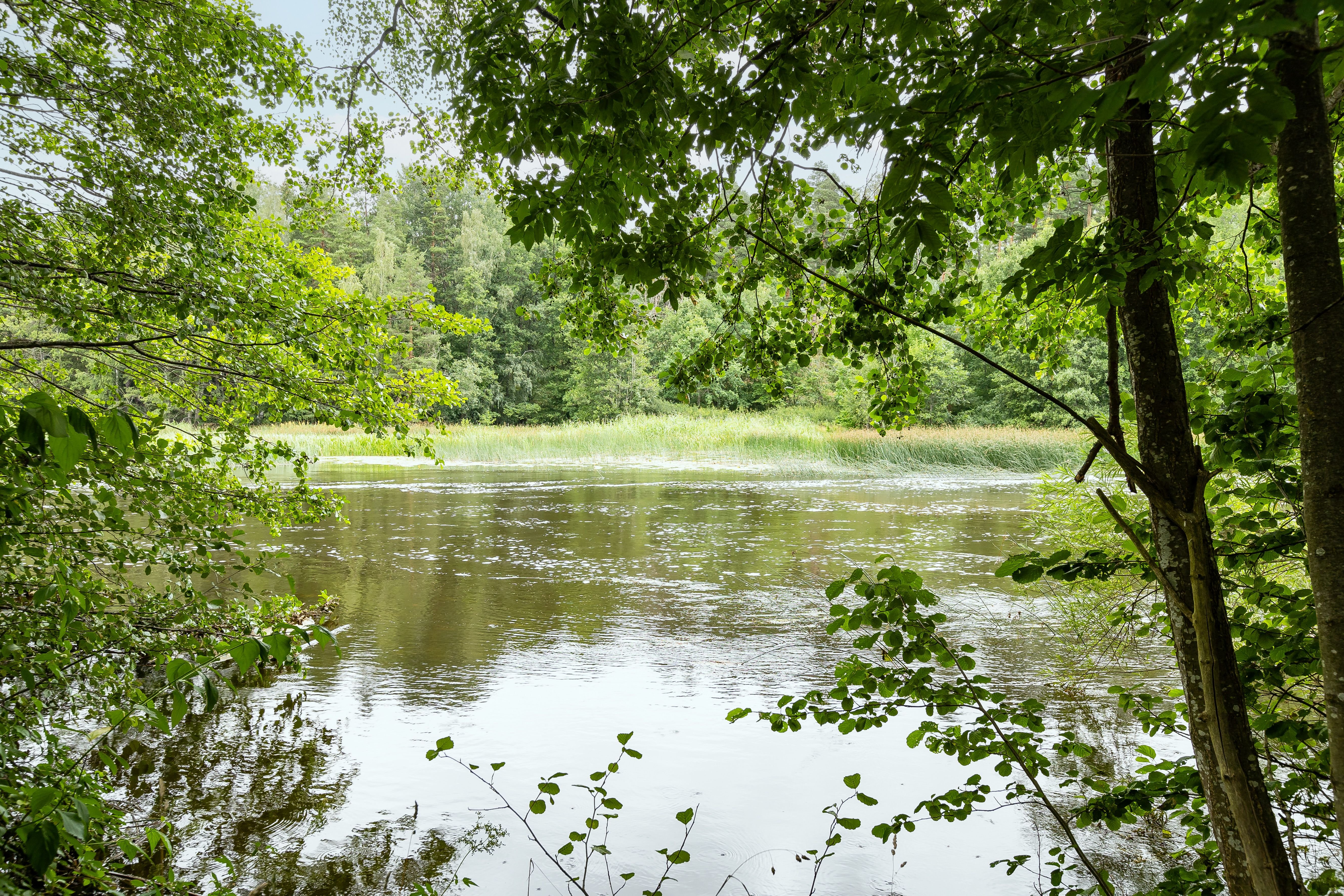 6 rok · 140 m² i Linköping – bild 3