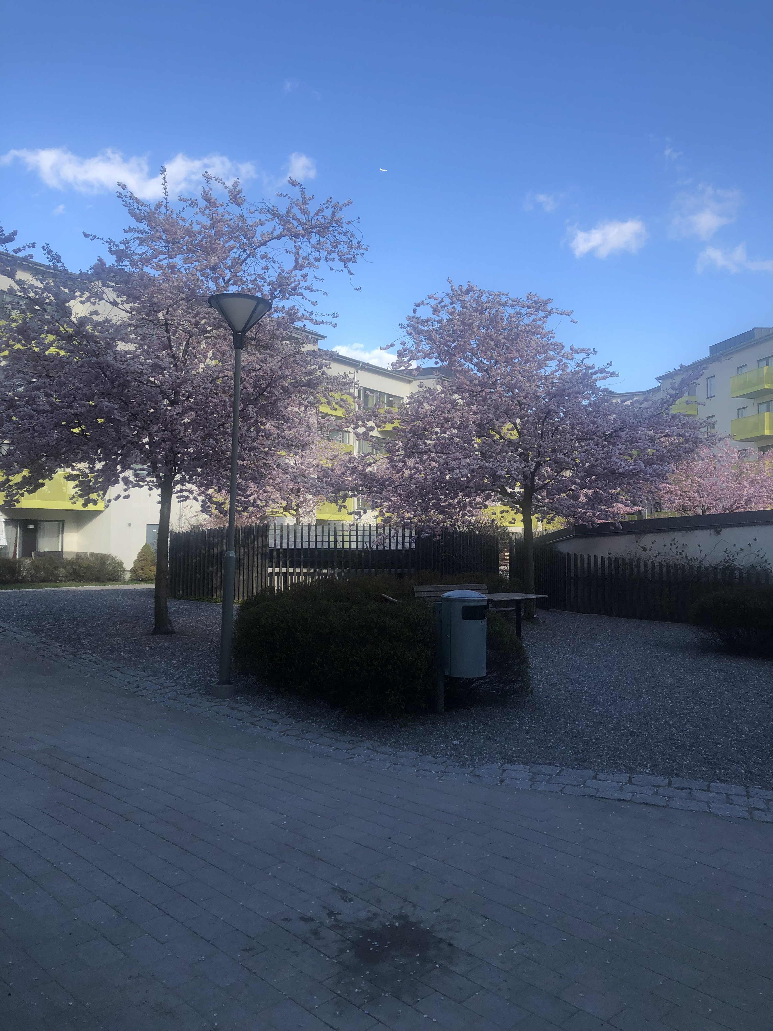 Nybohovsbacken