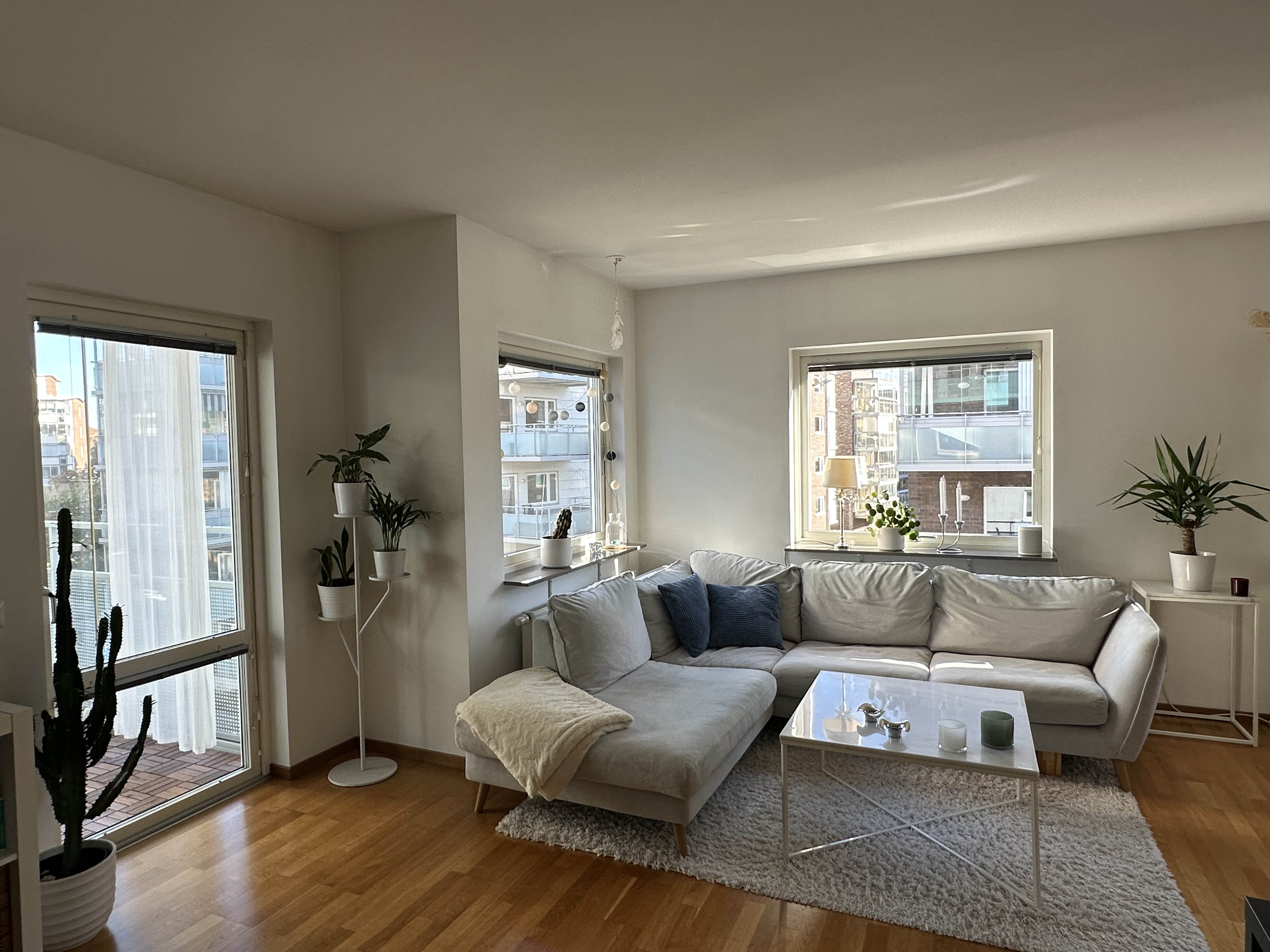 Esaias Thoréns gata