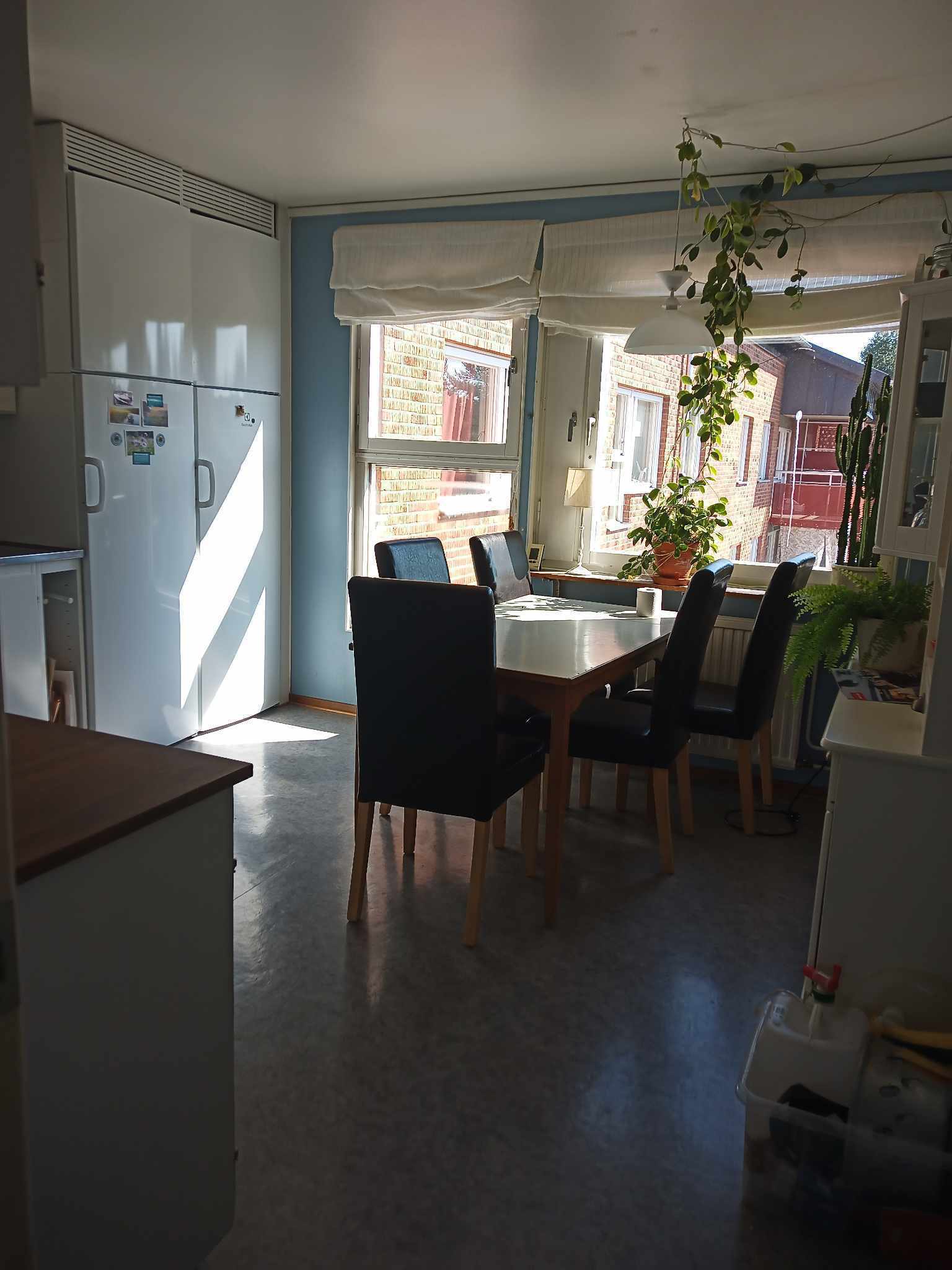 Språkgränd, Umeå — photo 3