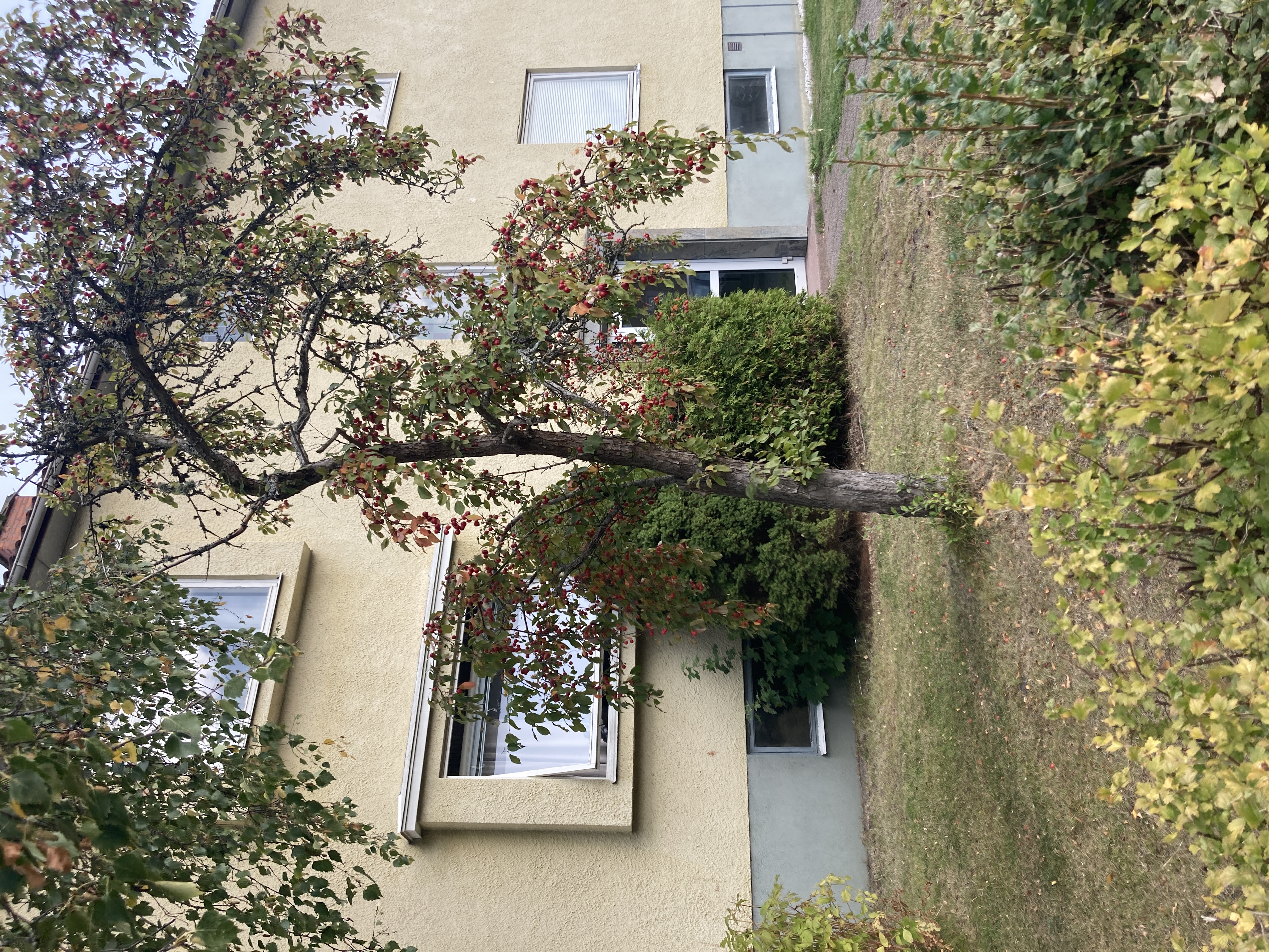 Lägenhet, 3 rooms, 79 sqm, Nässjö