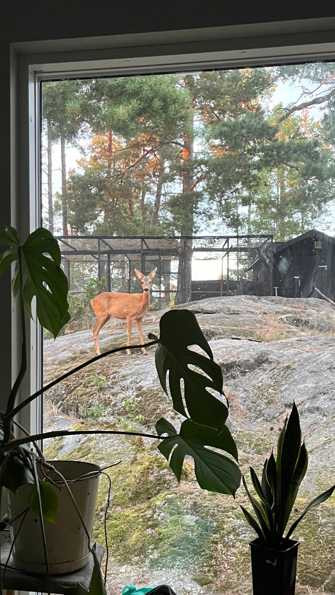 Hjärtstocksvägen
