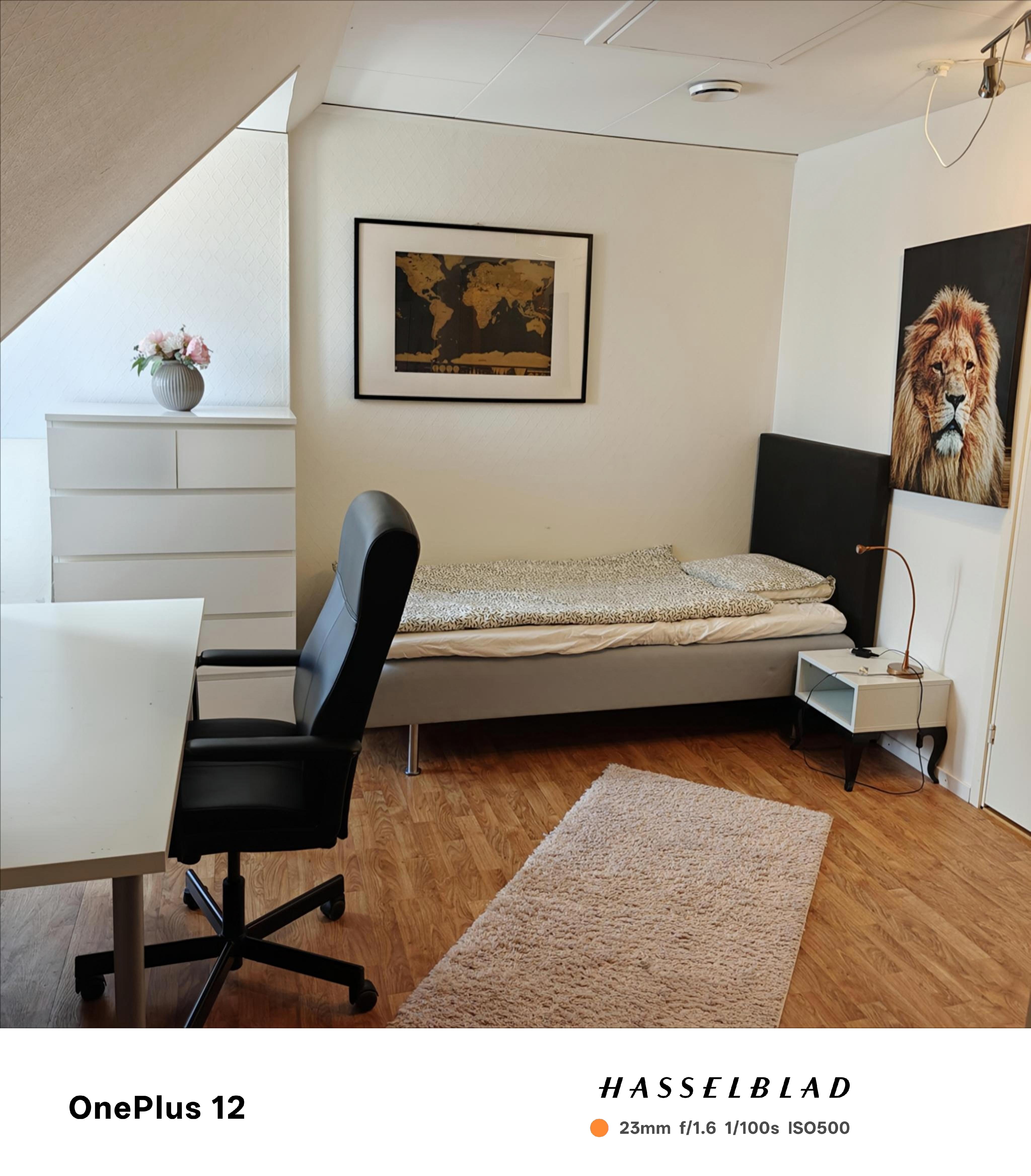 Torngatan i Malmö