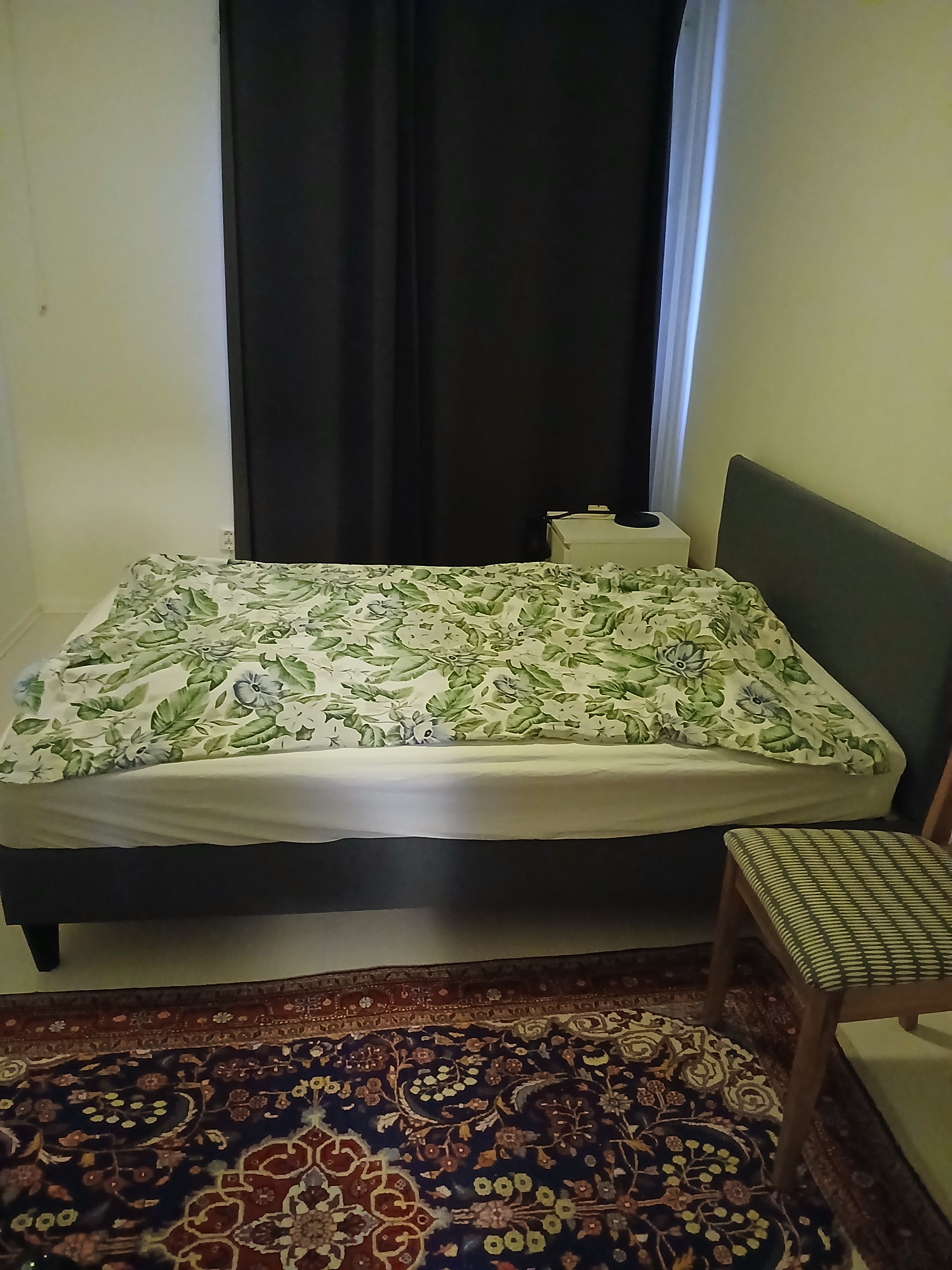 Forsstenagatan, Göteborg — photo 5