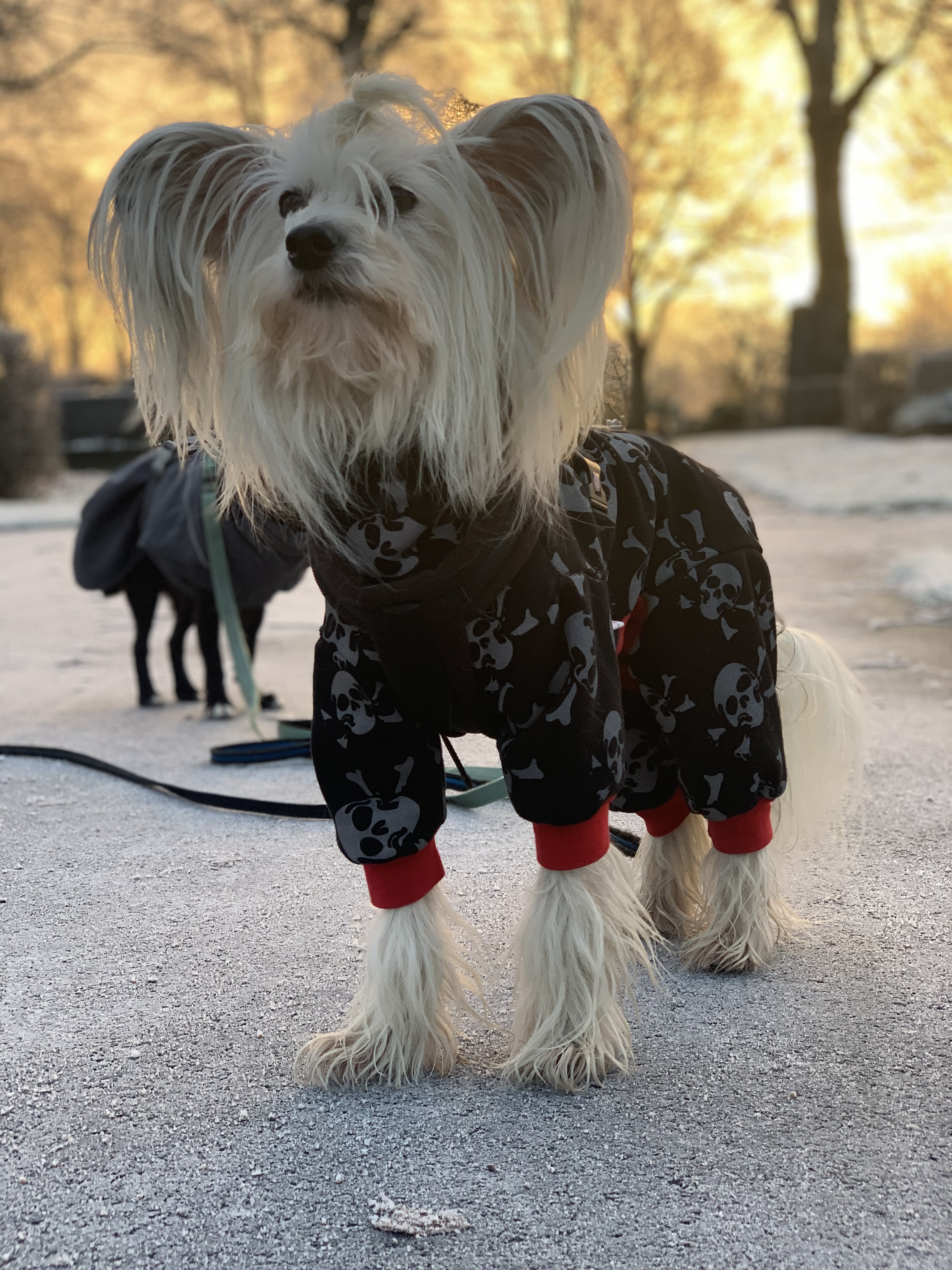 Överstegatan, Göteborg — photo 4