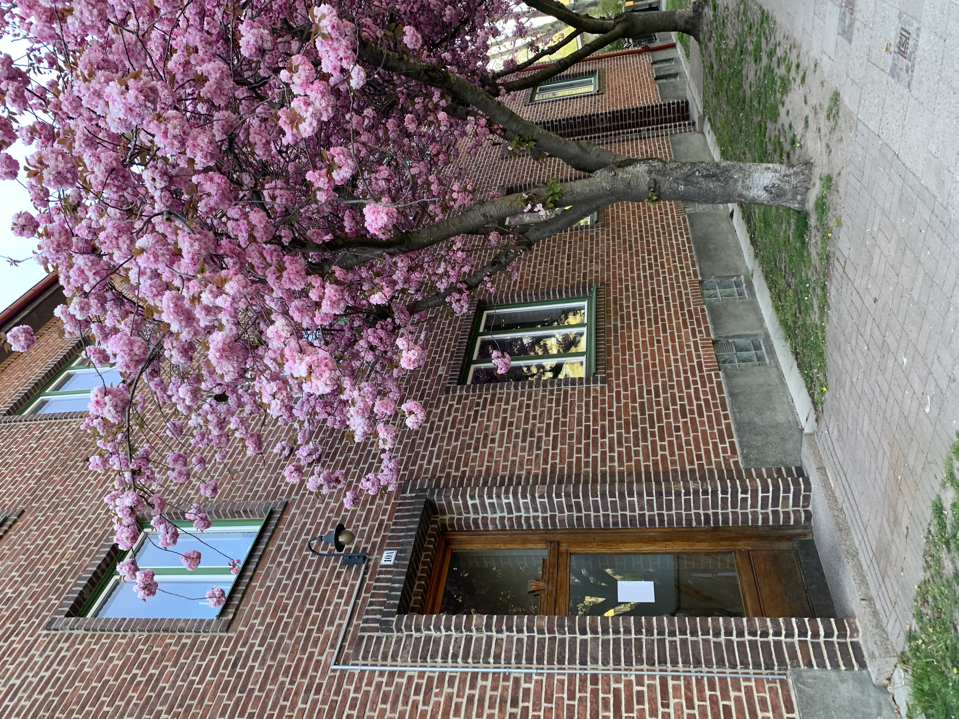 Lägenhet, 1 rum, 40 kvm, Malmö