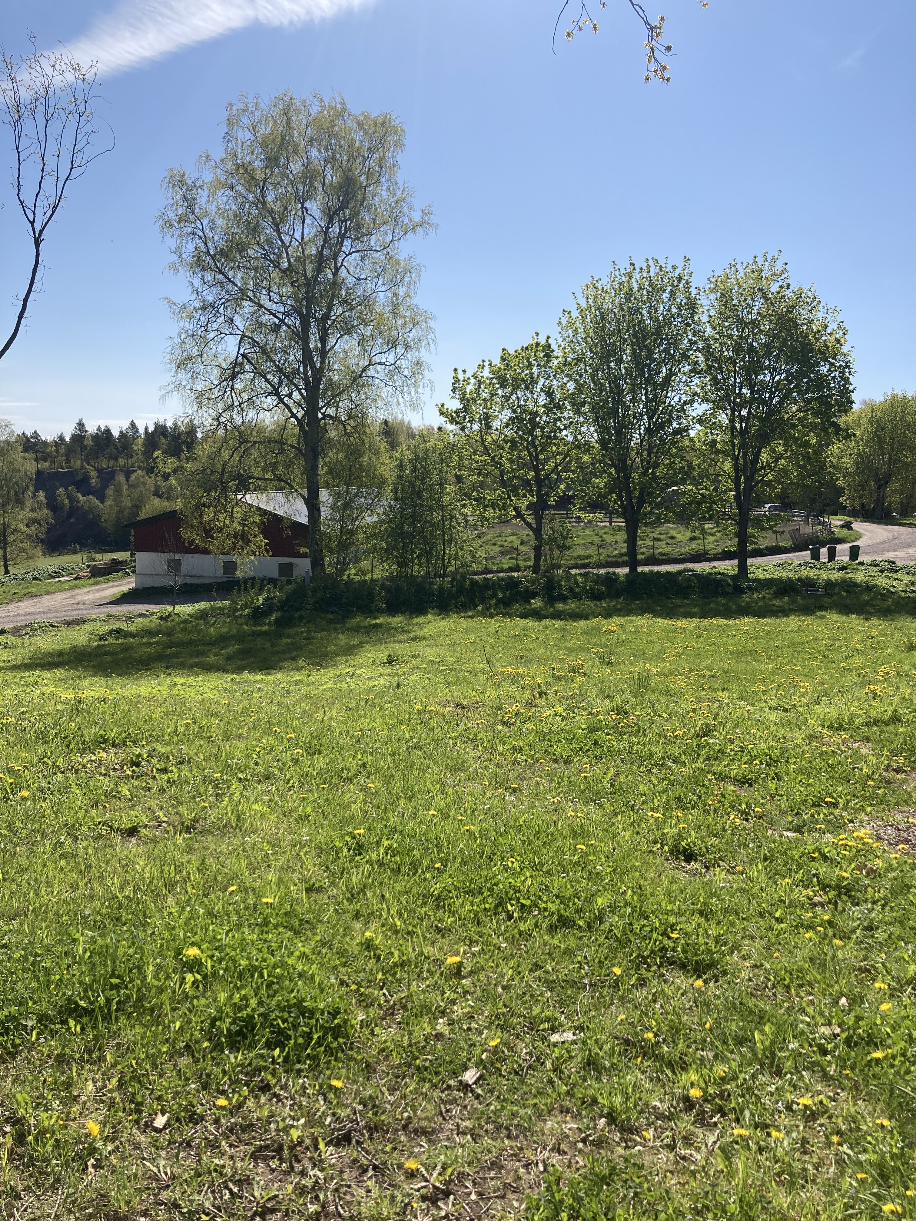 Lägenhet – Torbjörntorp, Åbod - Bild 5