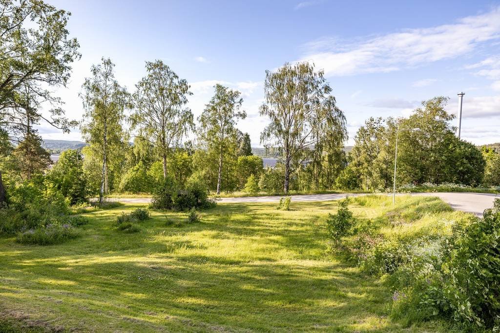 4 rok · 2241 m² i Väja – bild 20