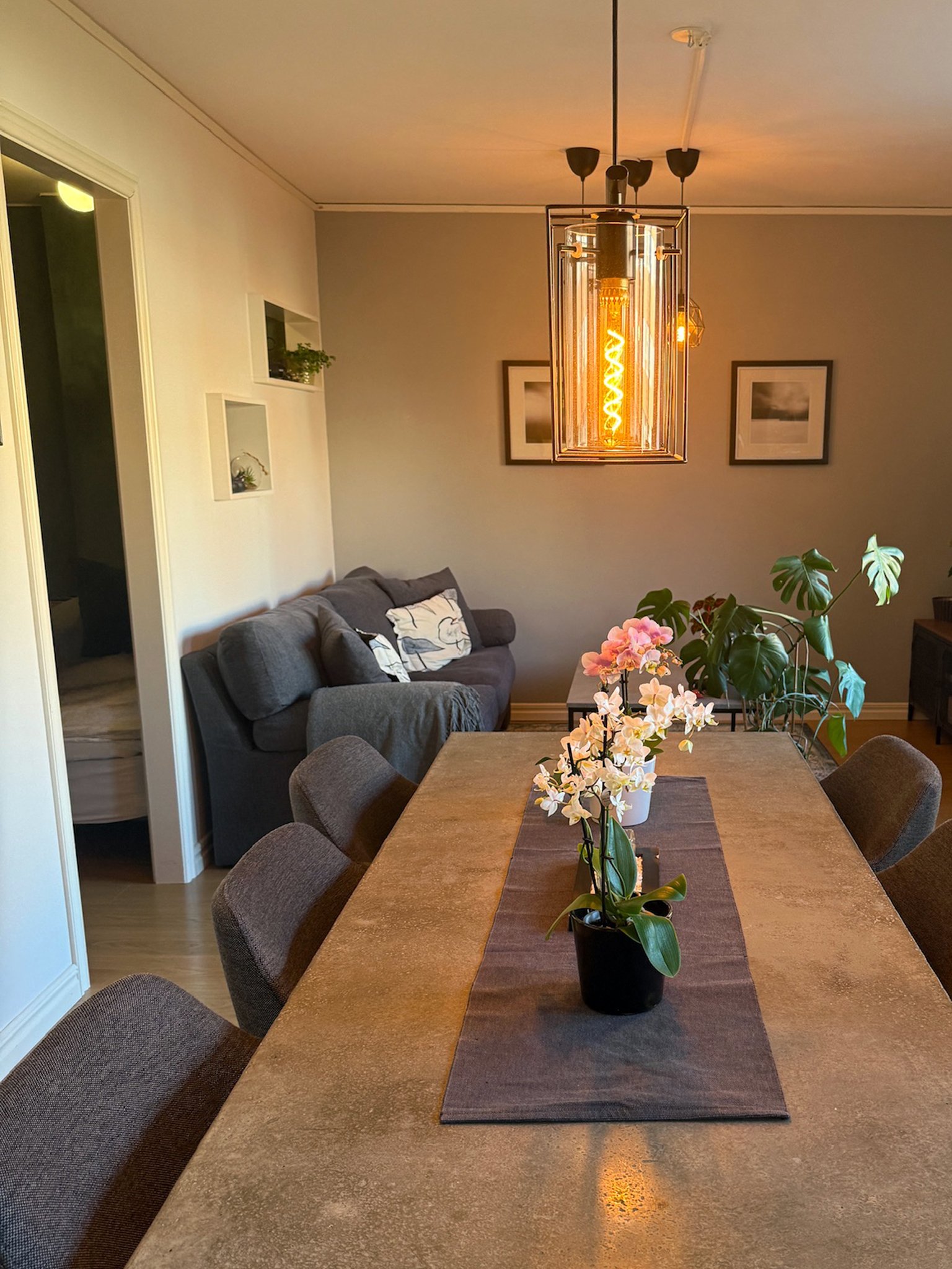 Möllevångsvägen, Lund — photo 4