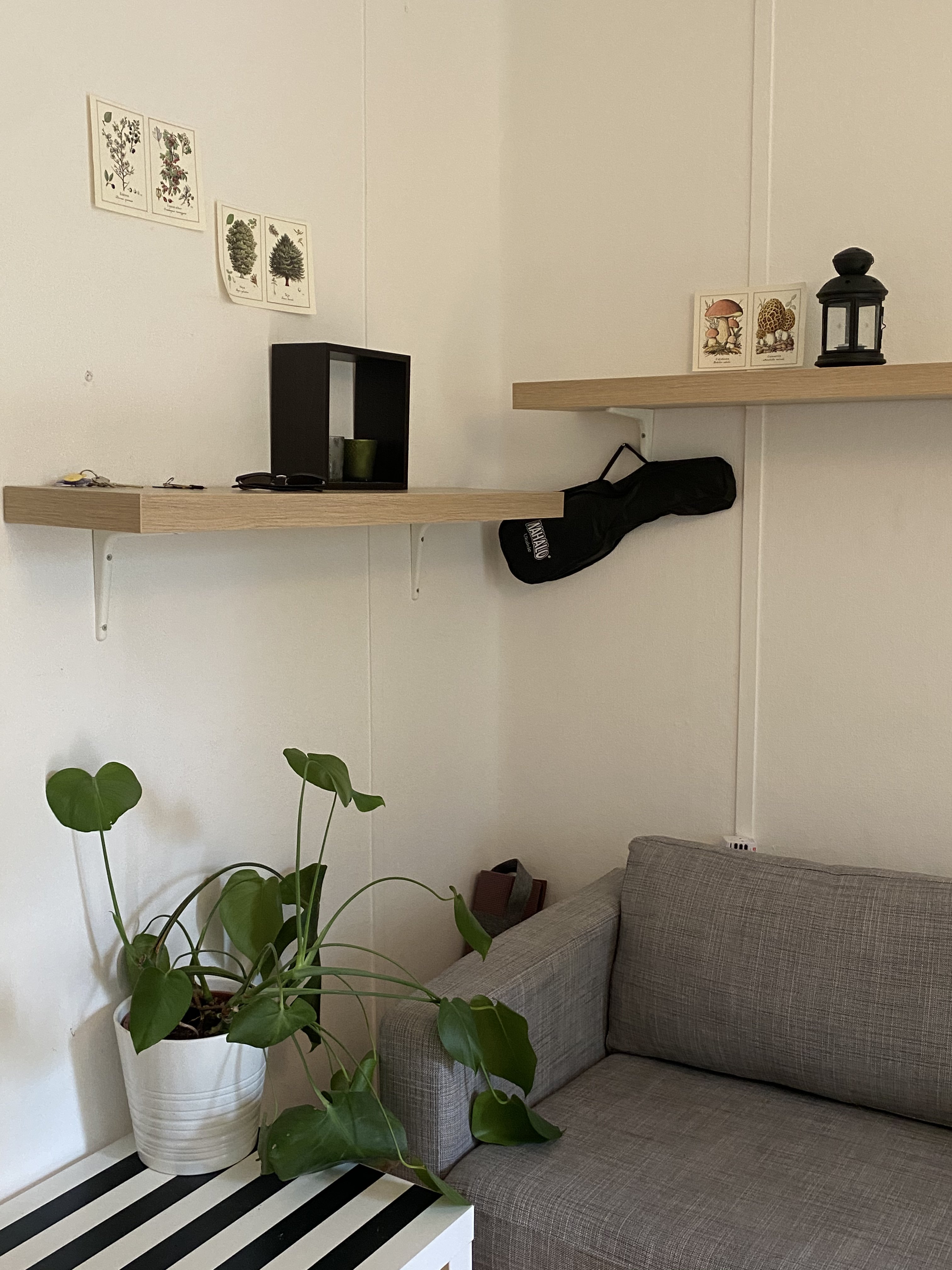 Qasa listing 1422115 - Bild 4