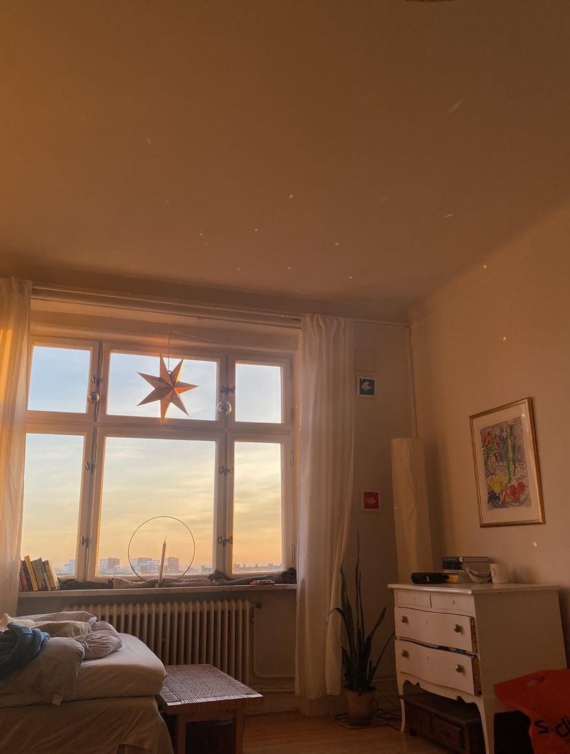 Agardhsgatan, Lund — photo 4