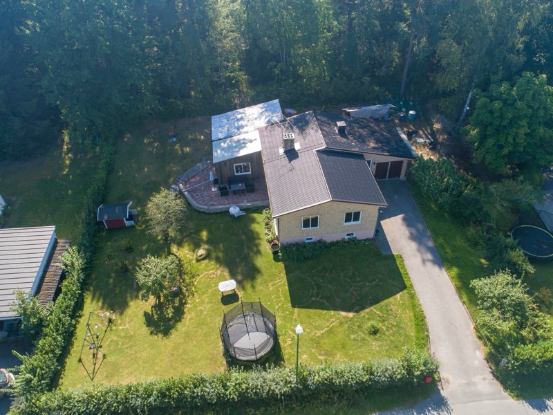 Skimmelvägen