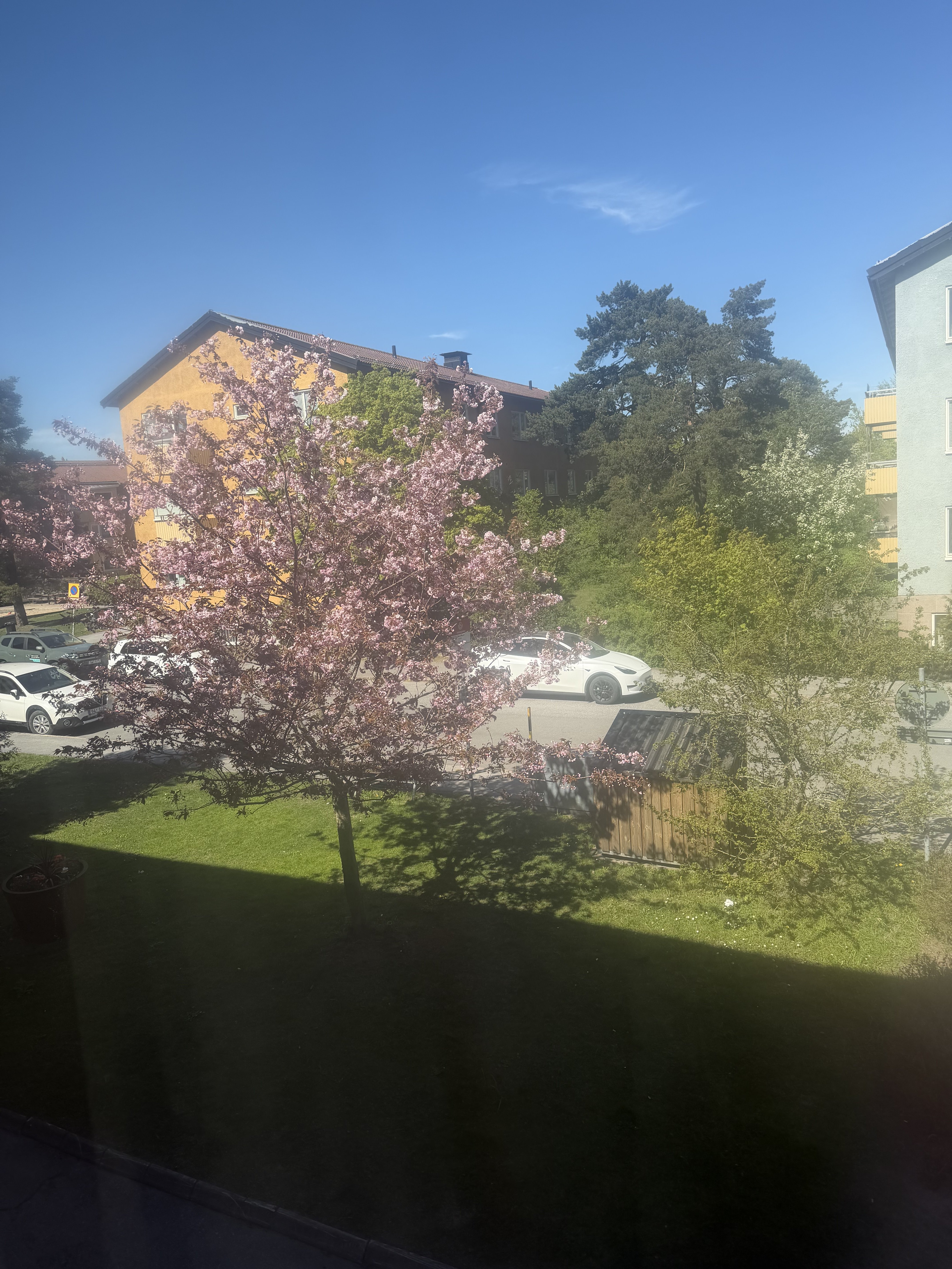 Tallidsvägen