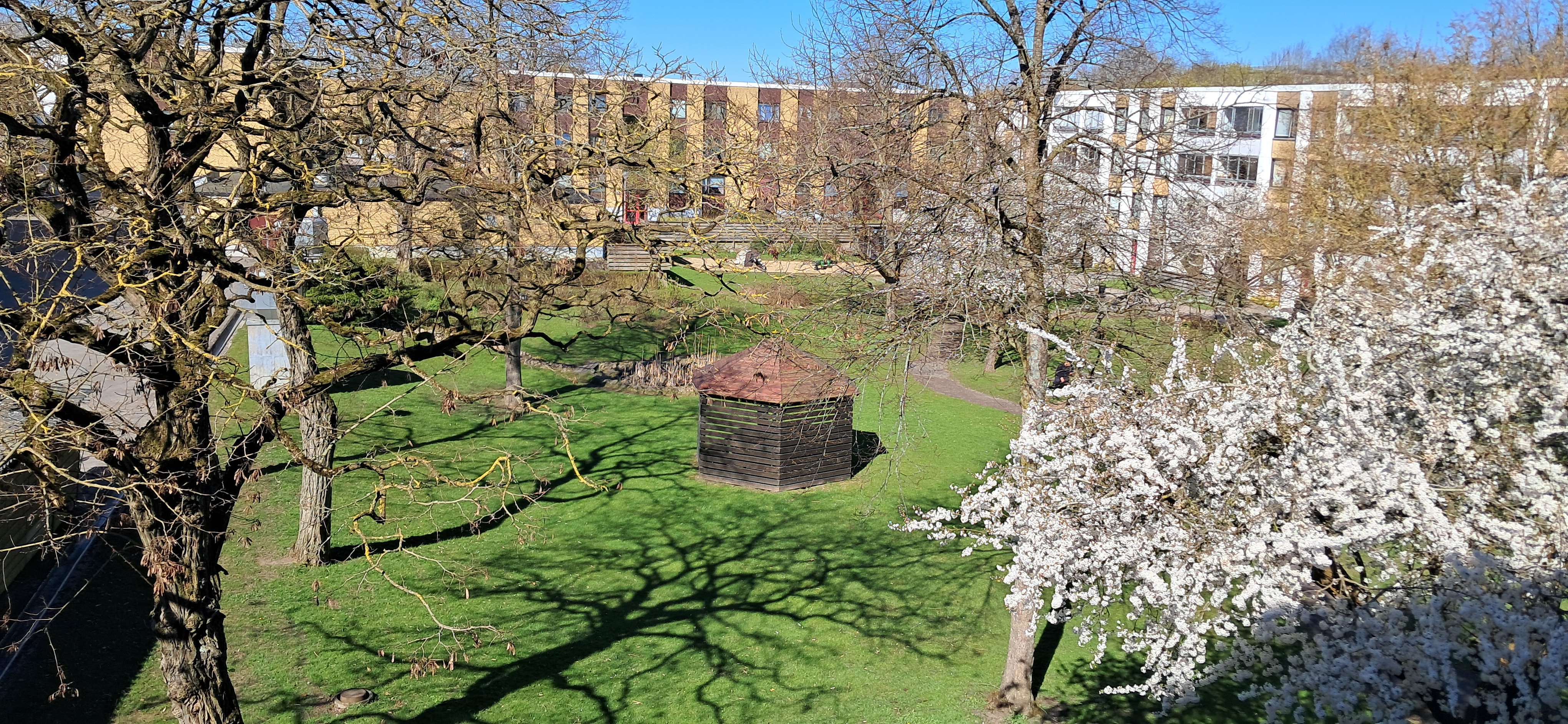 Magistratsvägen, Lund — photo 4