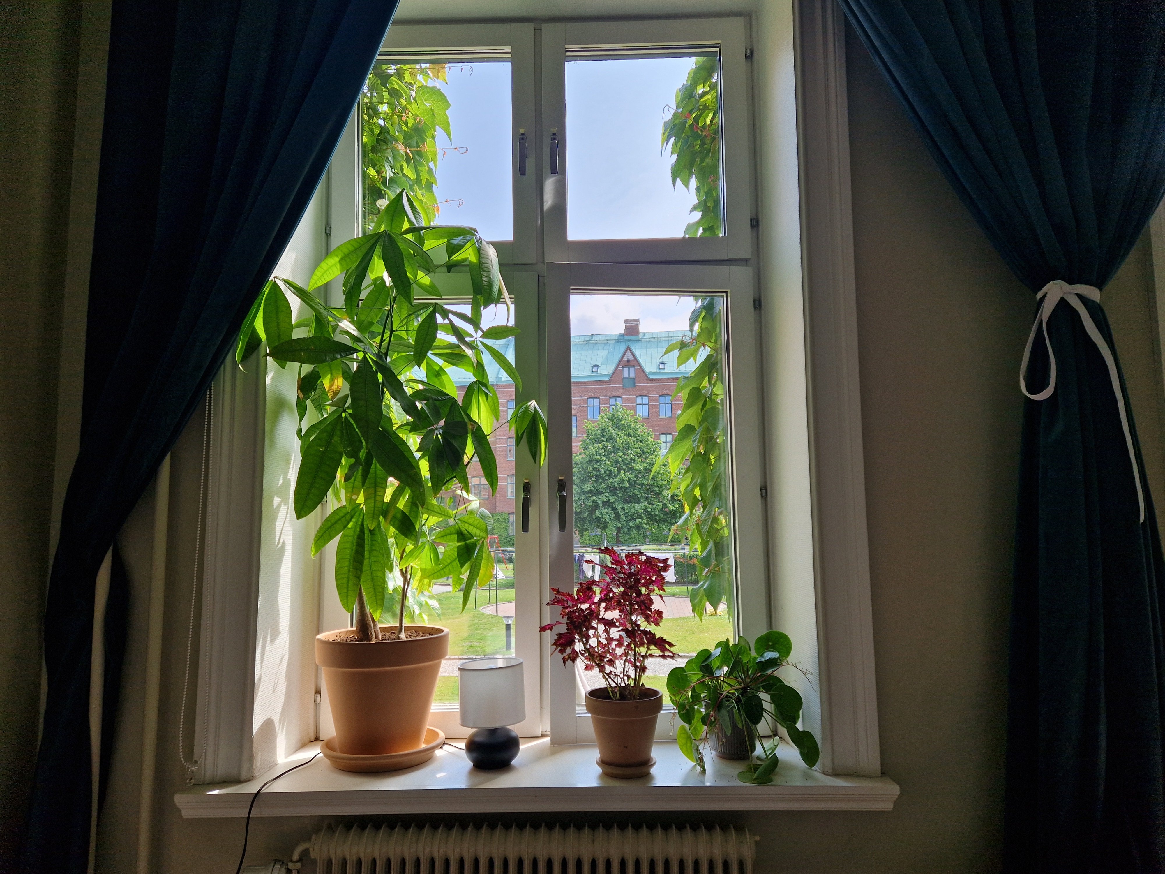 Slussgatan, Malmö — photo 5