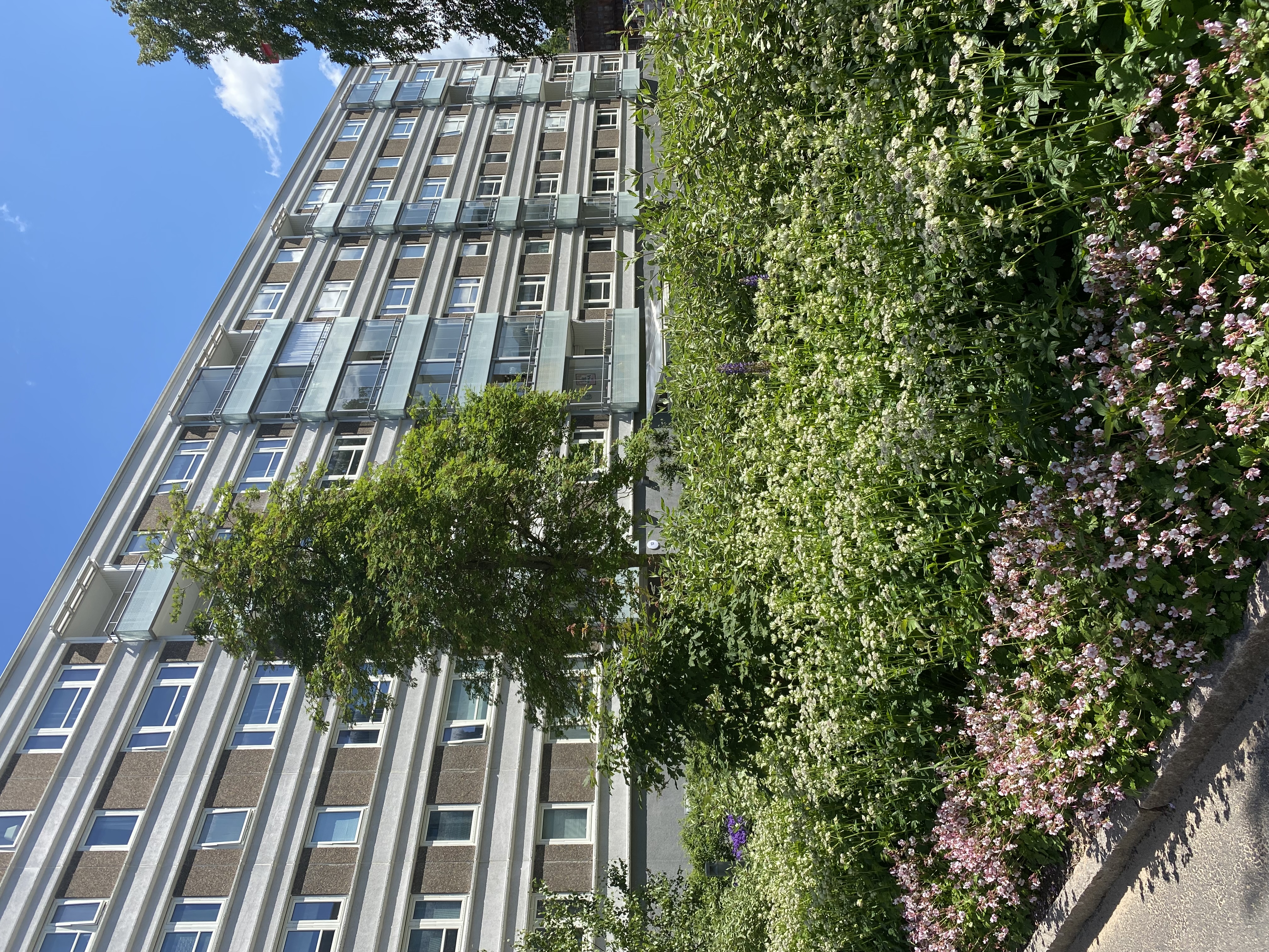 Smörslätten 6