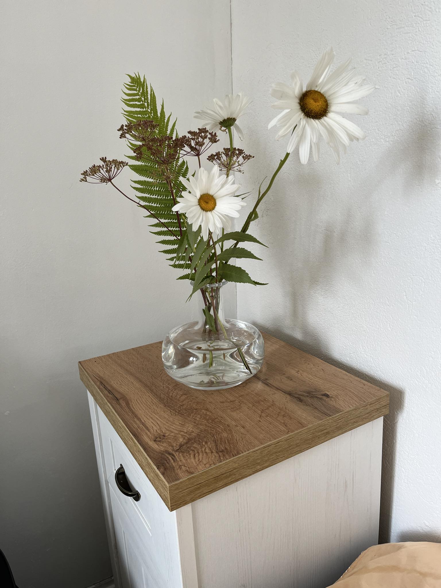 Stuga, 1 rooms, 20 sqm, Lomma