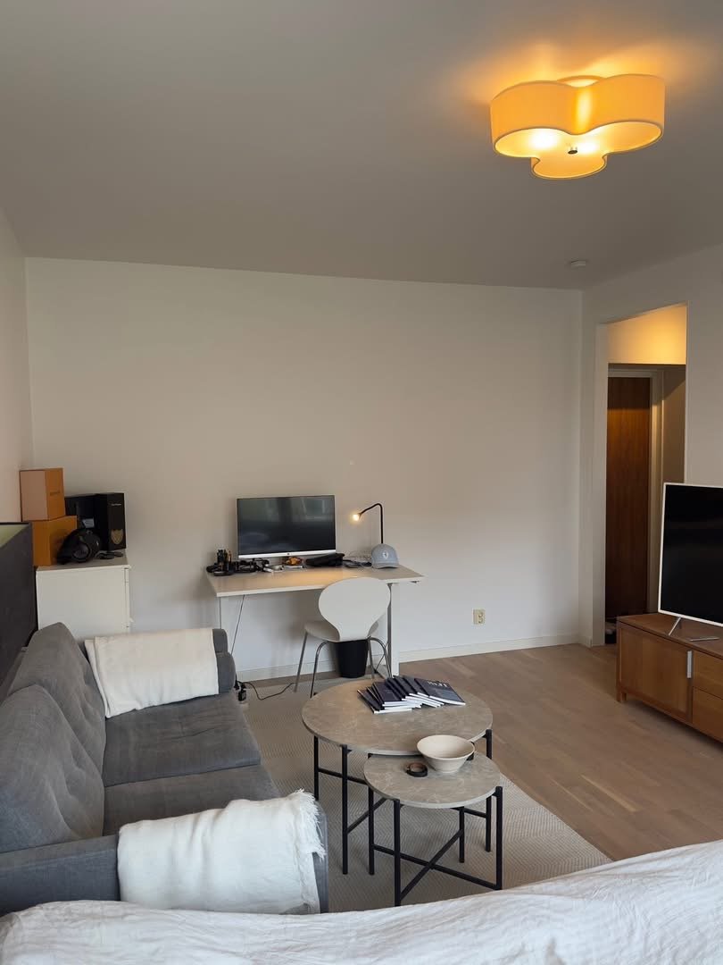 Måsvägen, Lund — photo 4