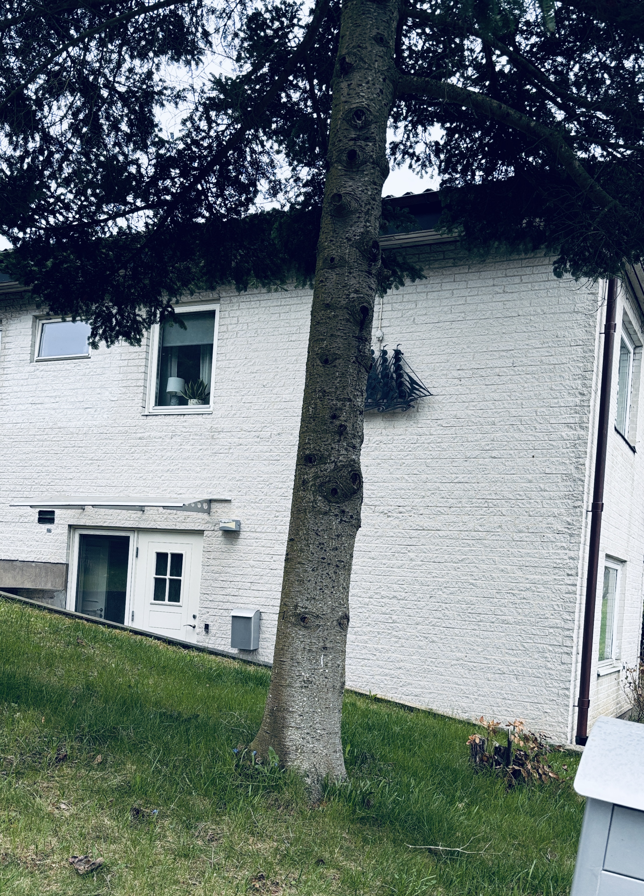 Backegårdsgatan, Göteborg — photo 4