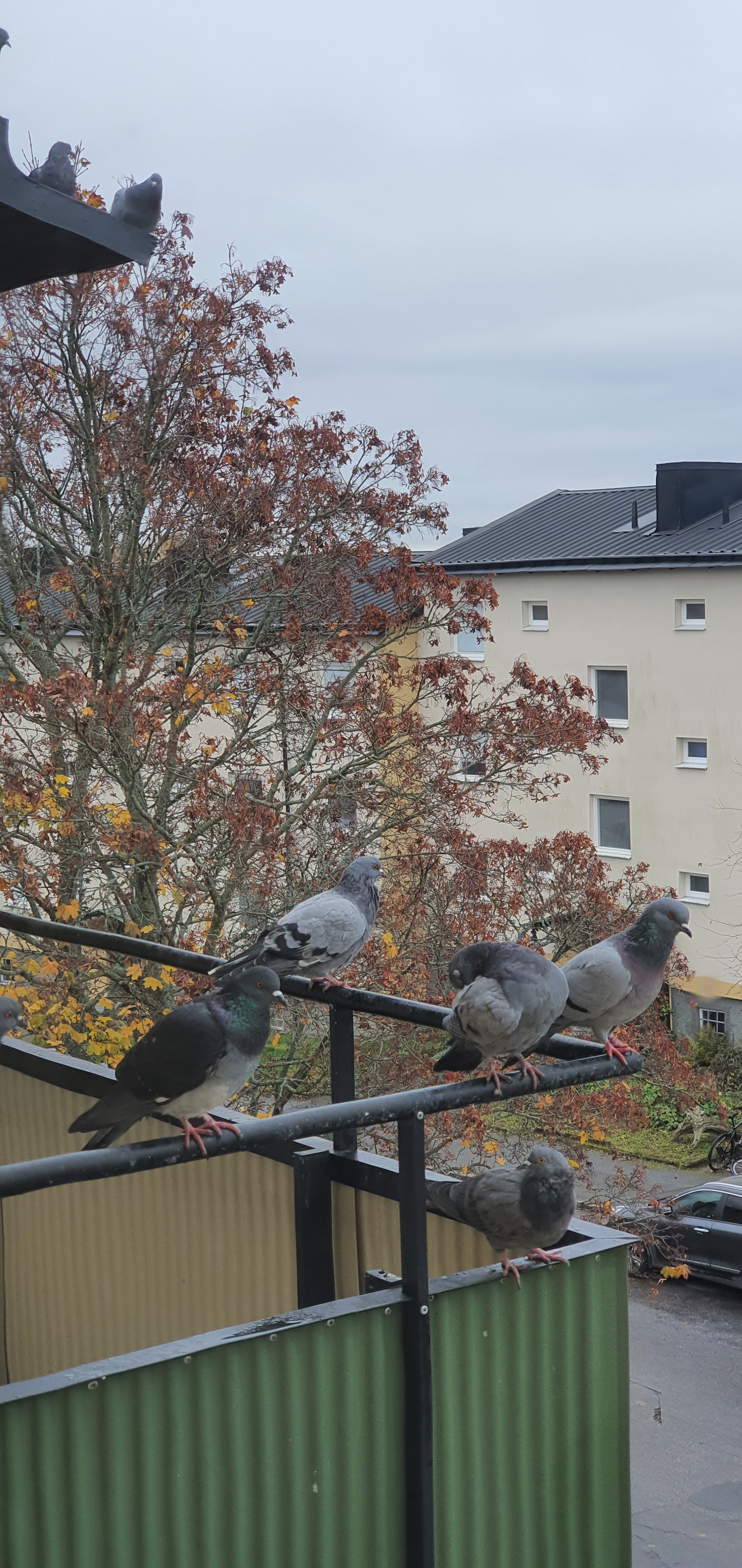 Stövargatan , Bandhagen — photo 2