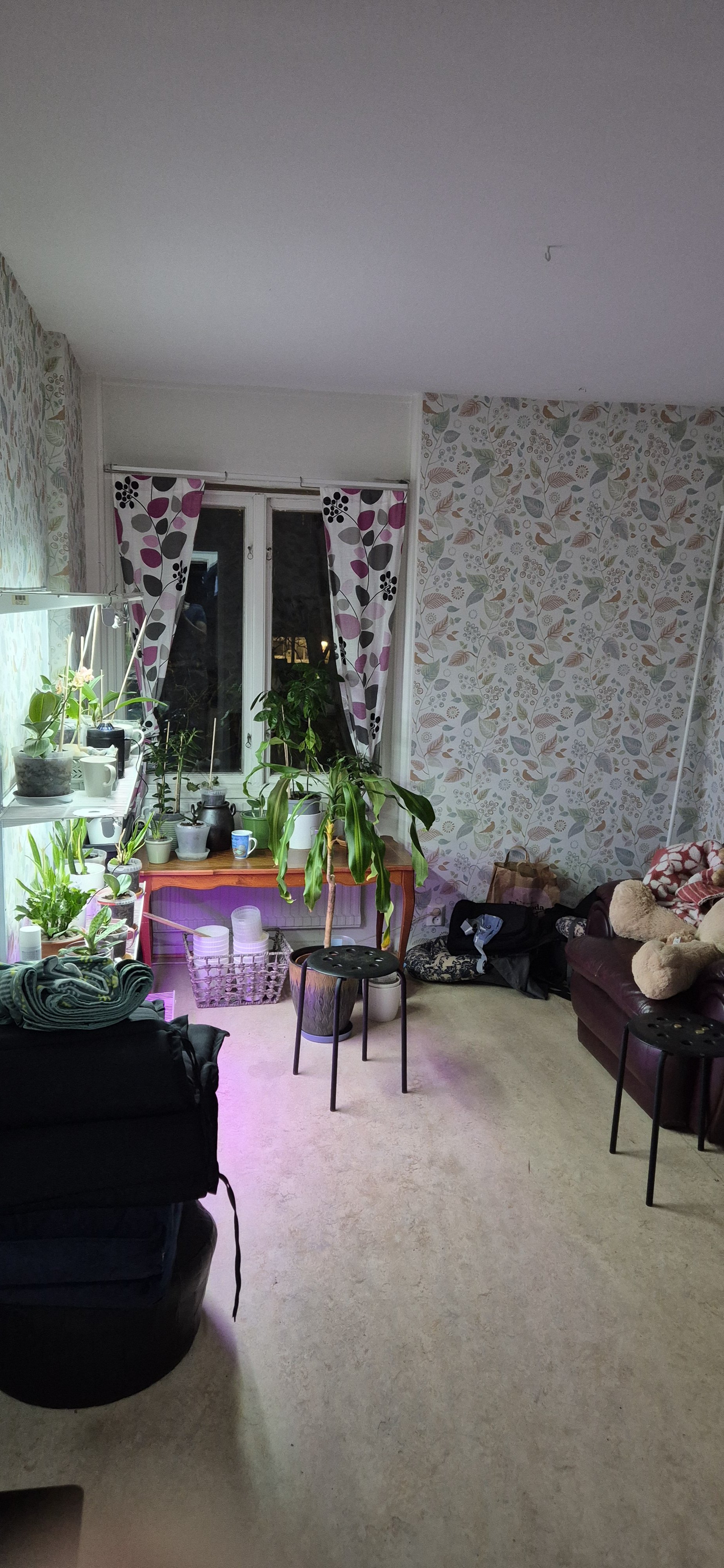 Klarvädersgatan, Göteborg