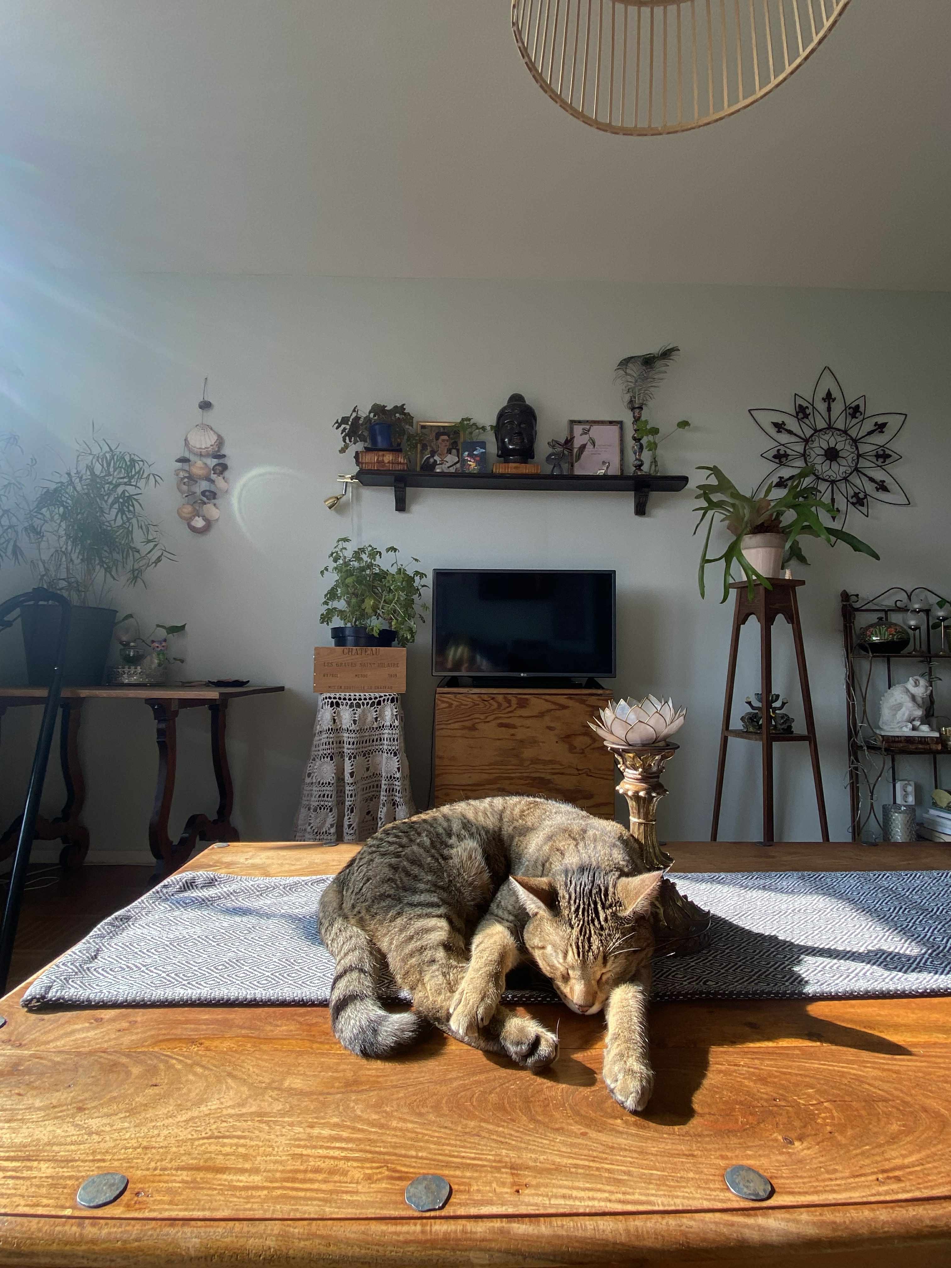 Träkilsgatan, Göteborg — photo 3