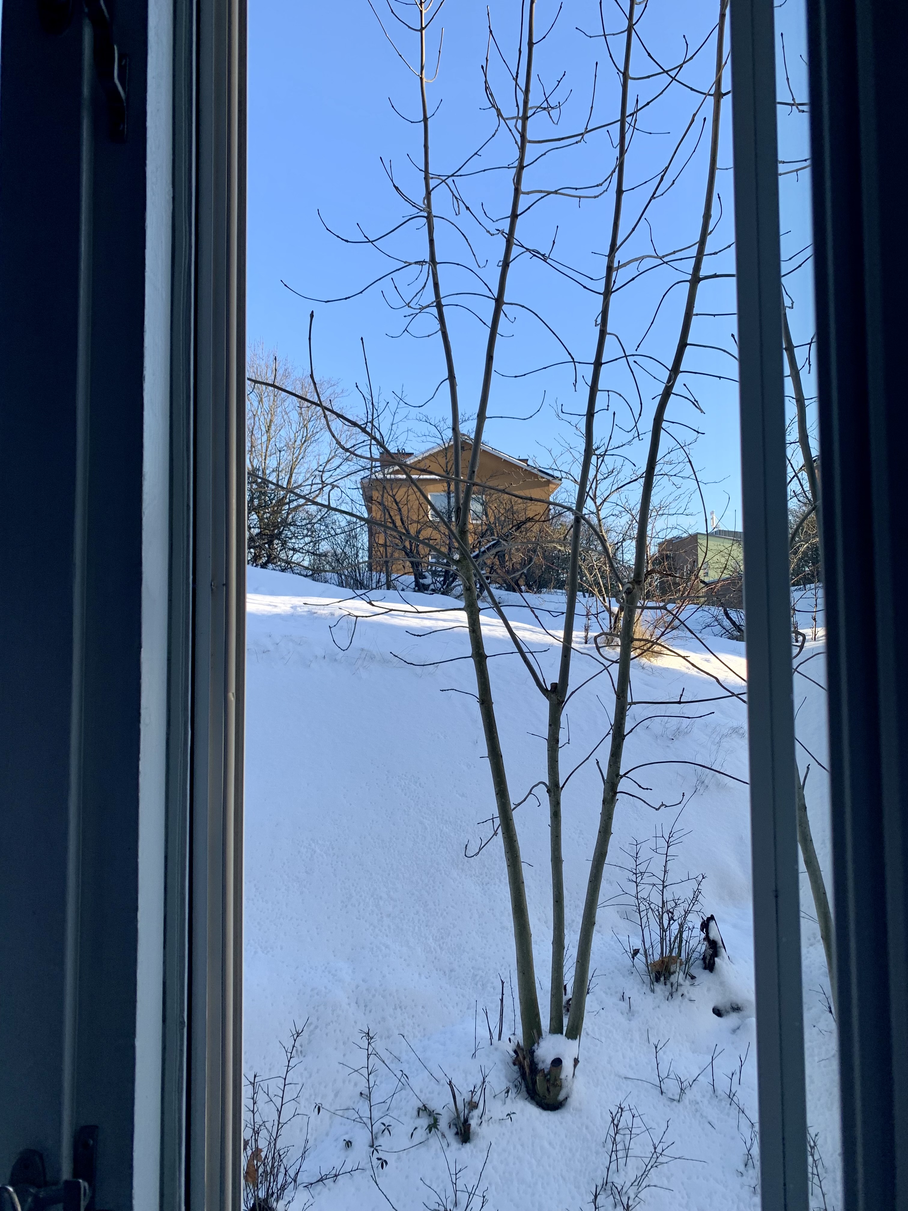 Ralångsvägen, Årsta — photo 5