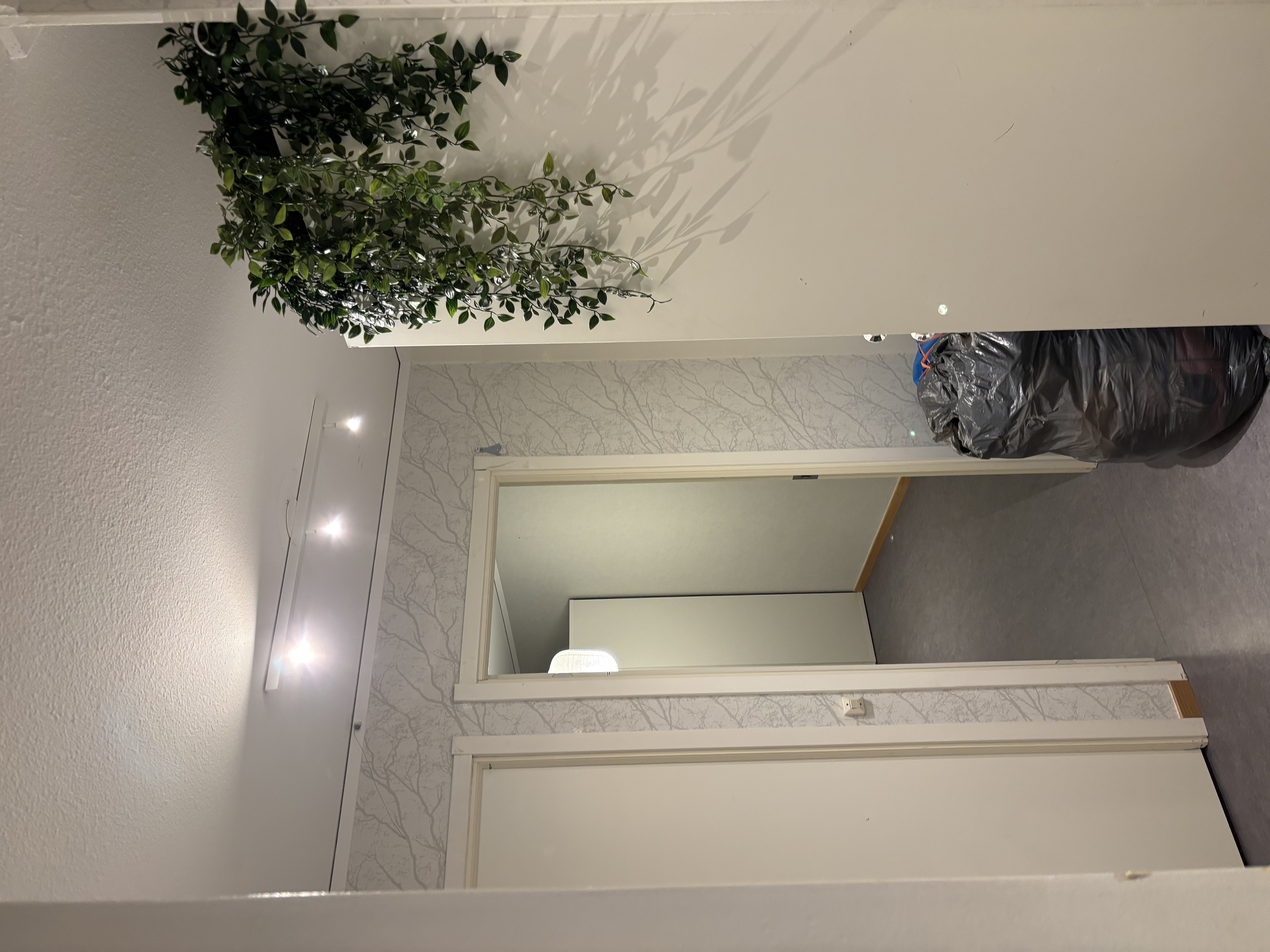 Språkgränd, Umeå — photo 2