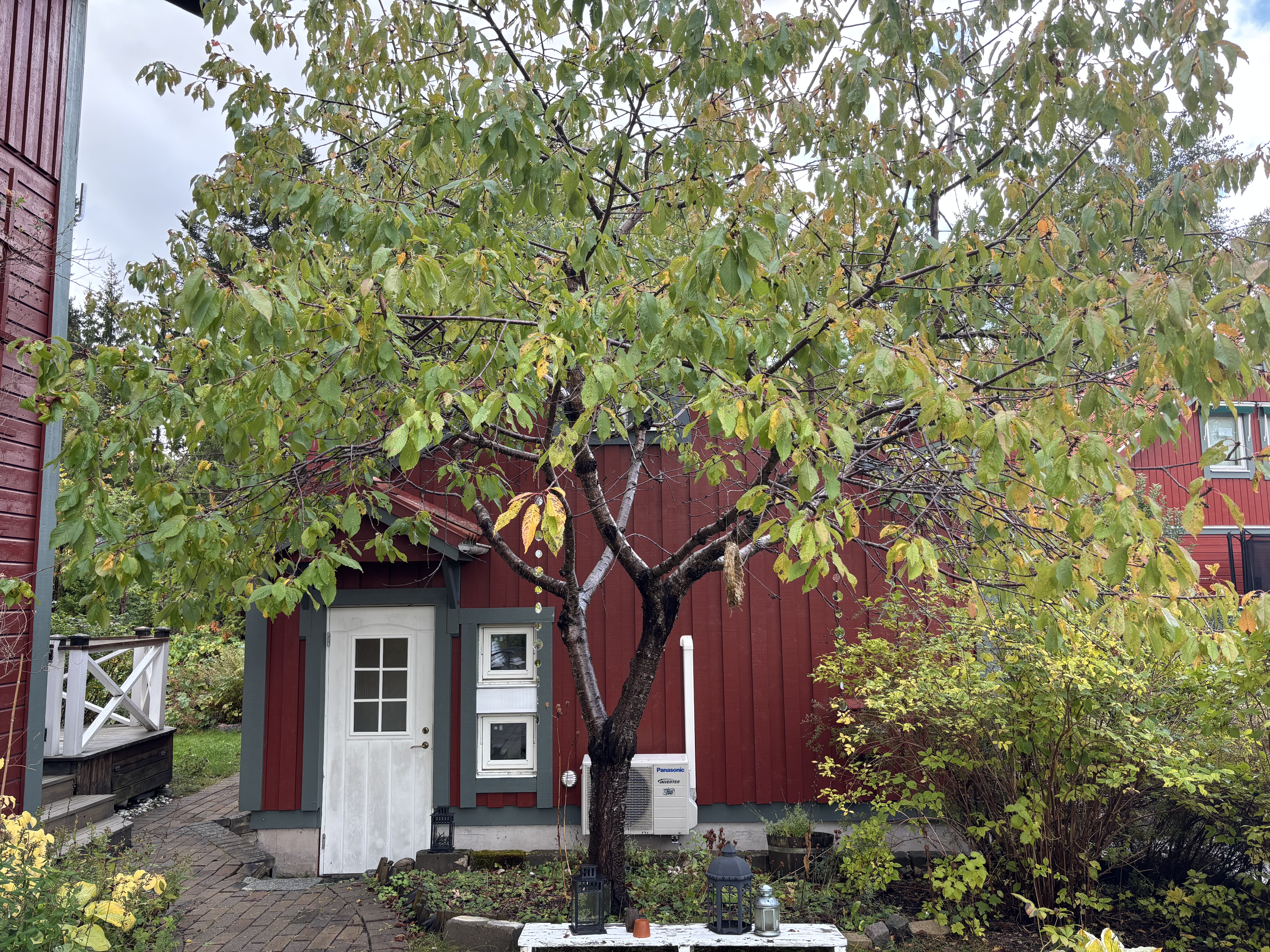 Stuga, 2 rum, 50 kvm, Uppsala