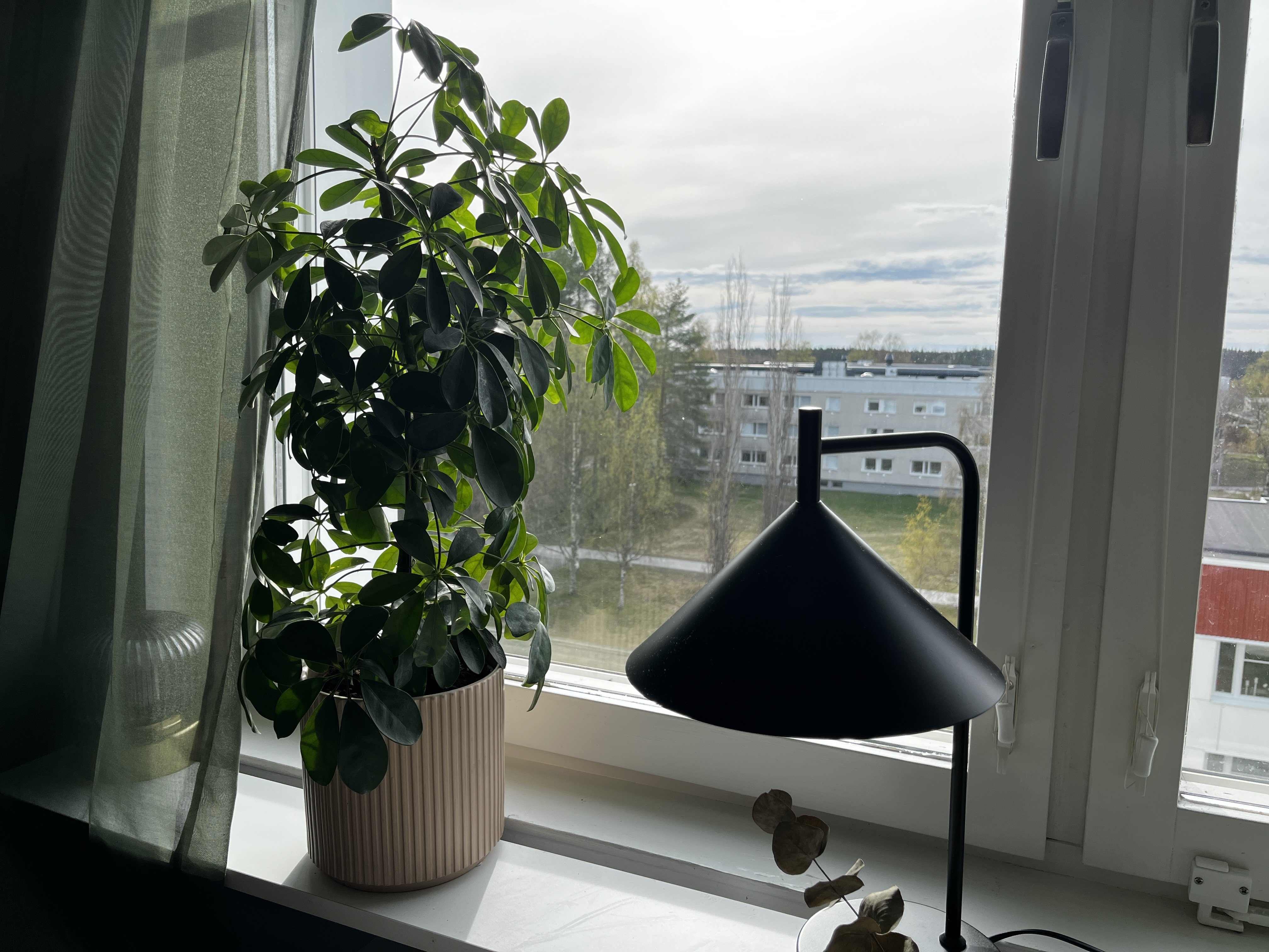 Mariehemsvägen, Umeå — photo 2