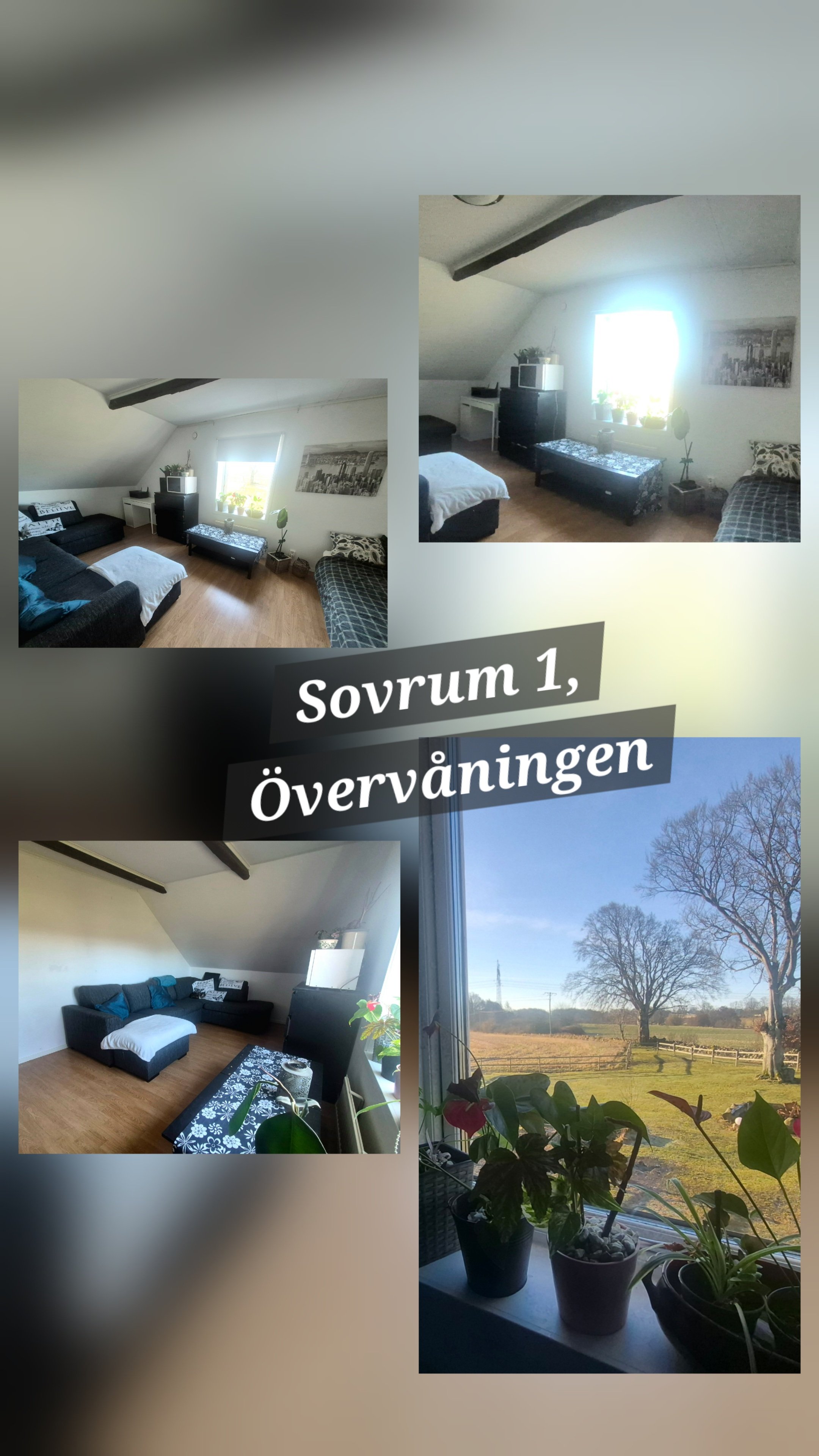 Villa/Hus, 2 rum, 18 kvm, Höör