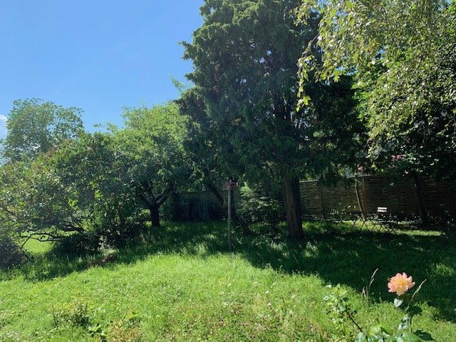 Artillerigatan, Uppsala — photo 4