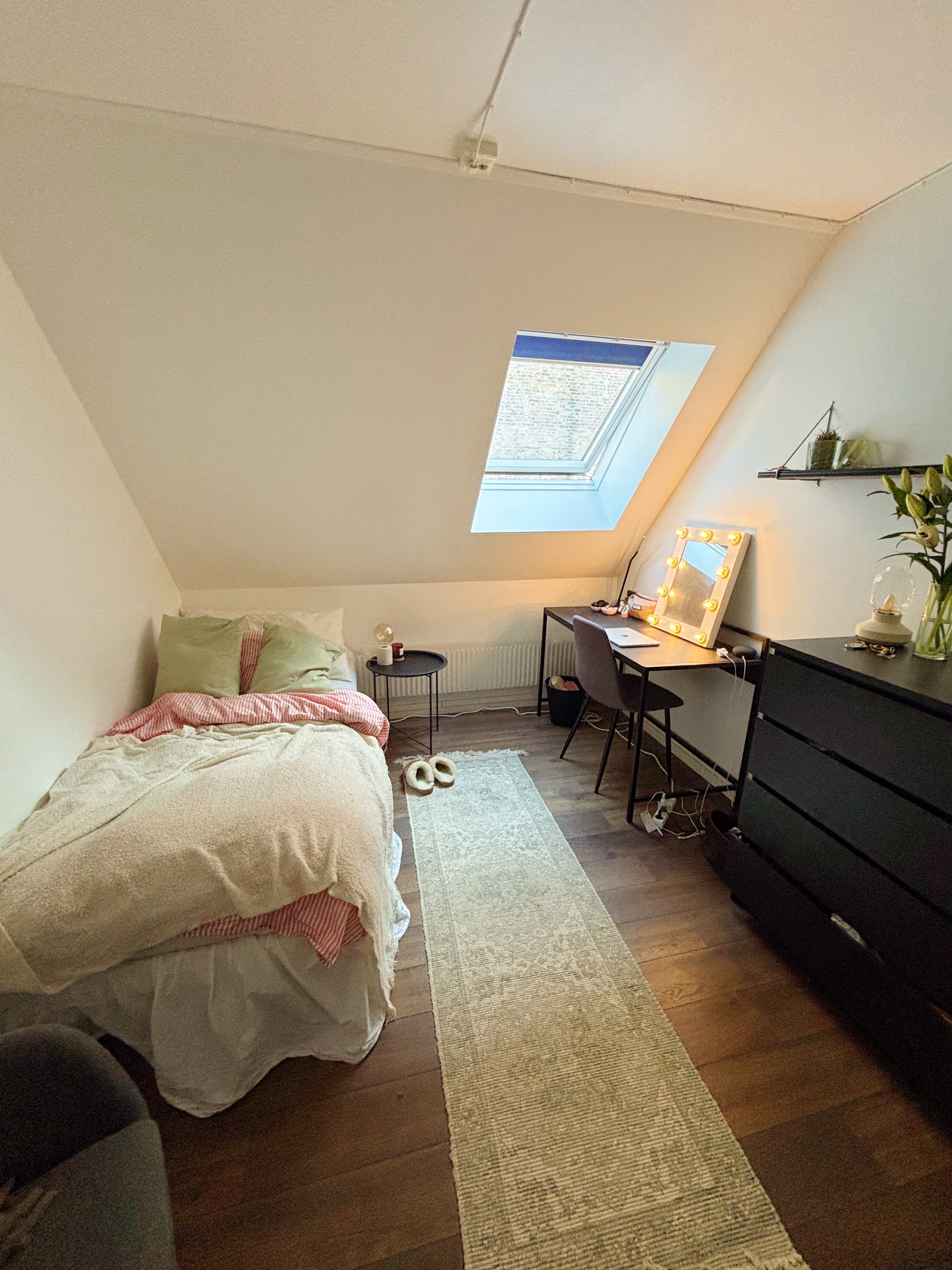 Stora Södergatan, Lund — photo 4