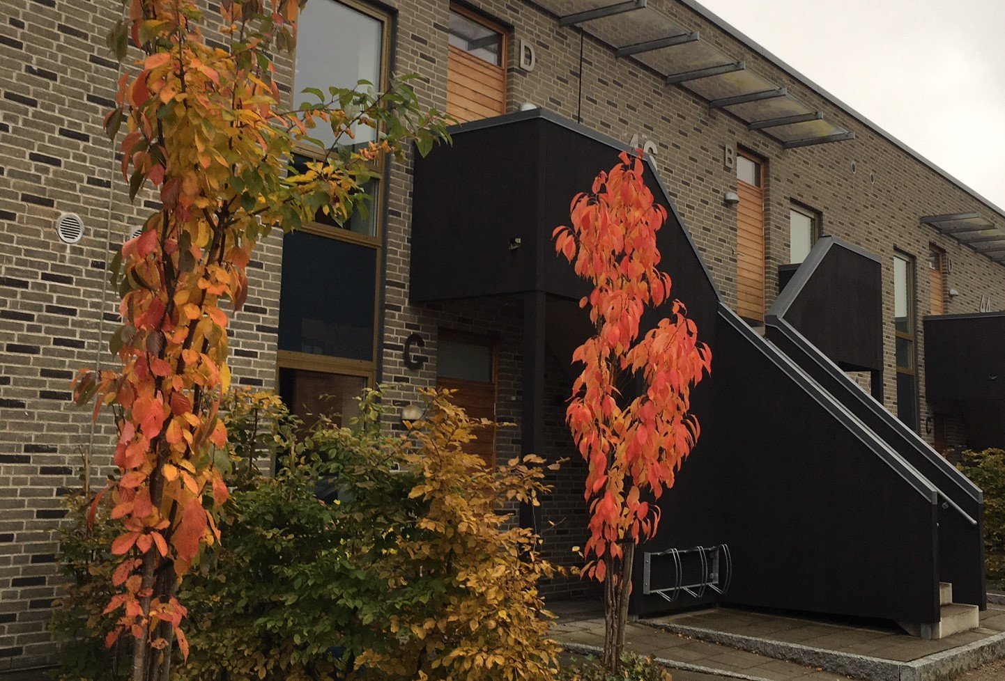 Edwin Berlings gata 44C