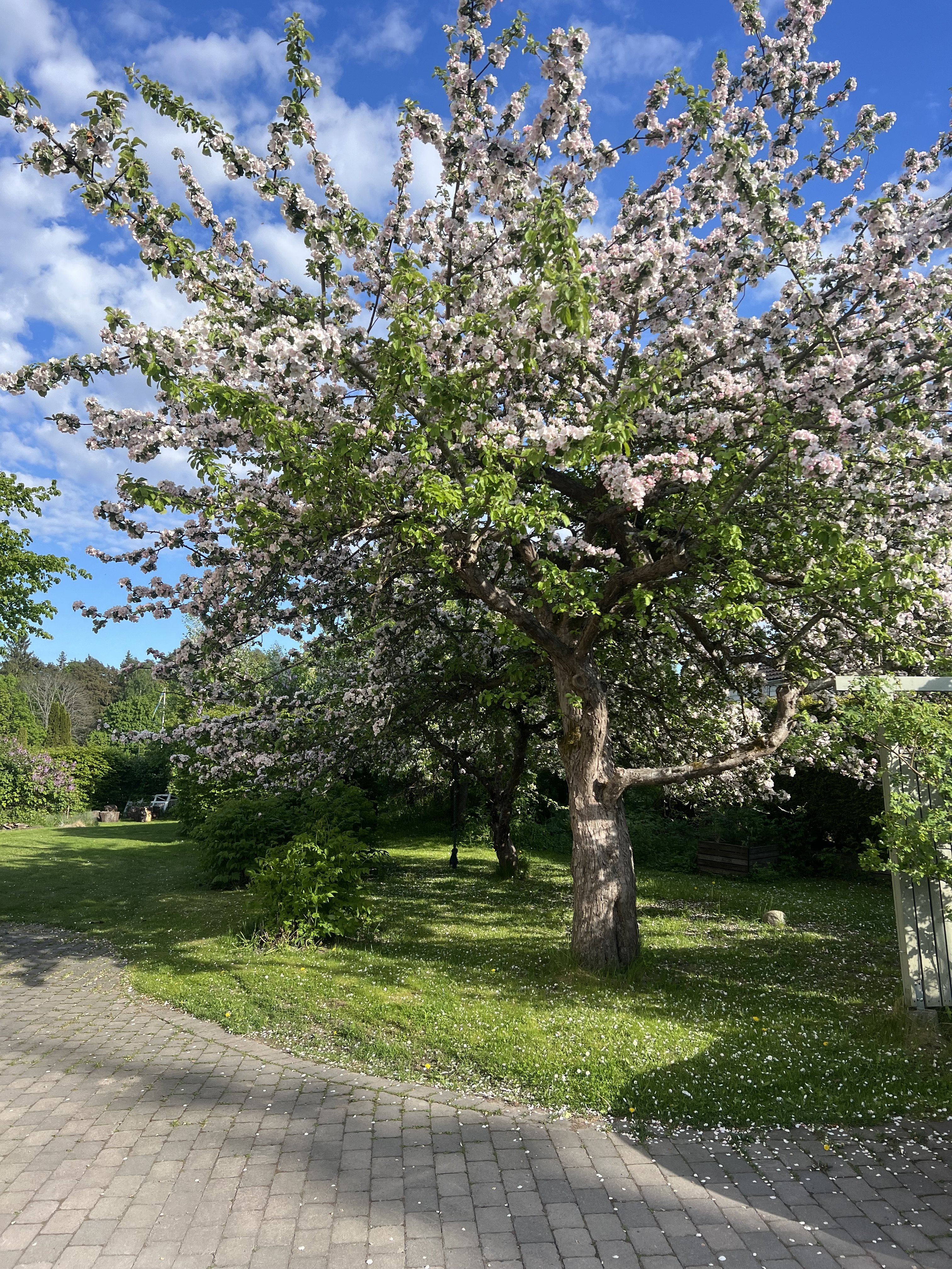 2 rok · 70 m² i Södertälje – bild 16
