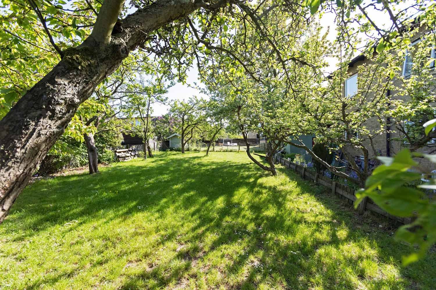 Clematisgatan, Malmö — photo 5