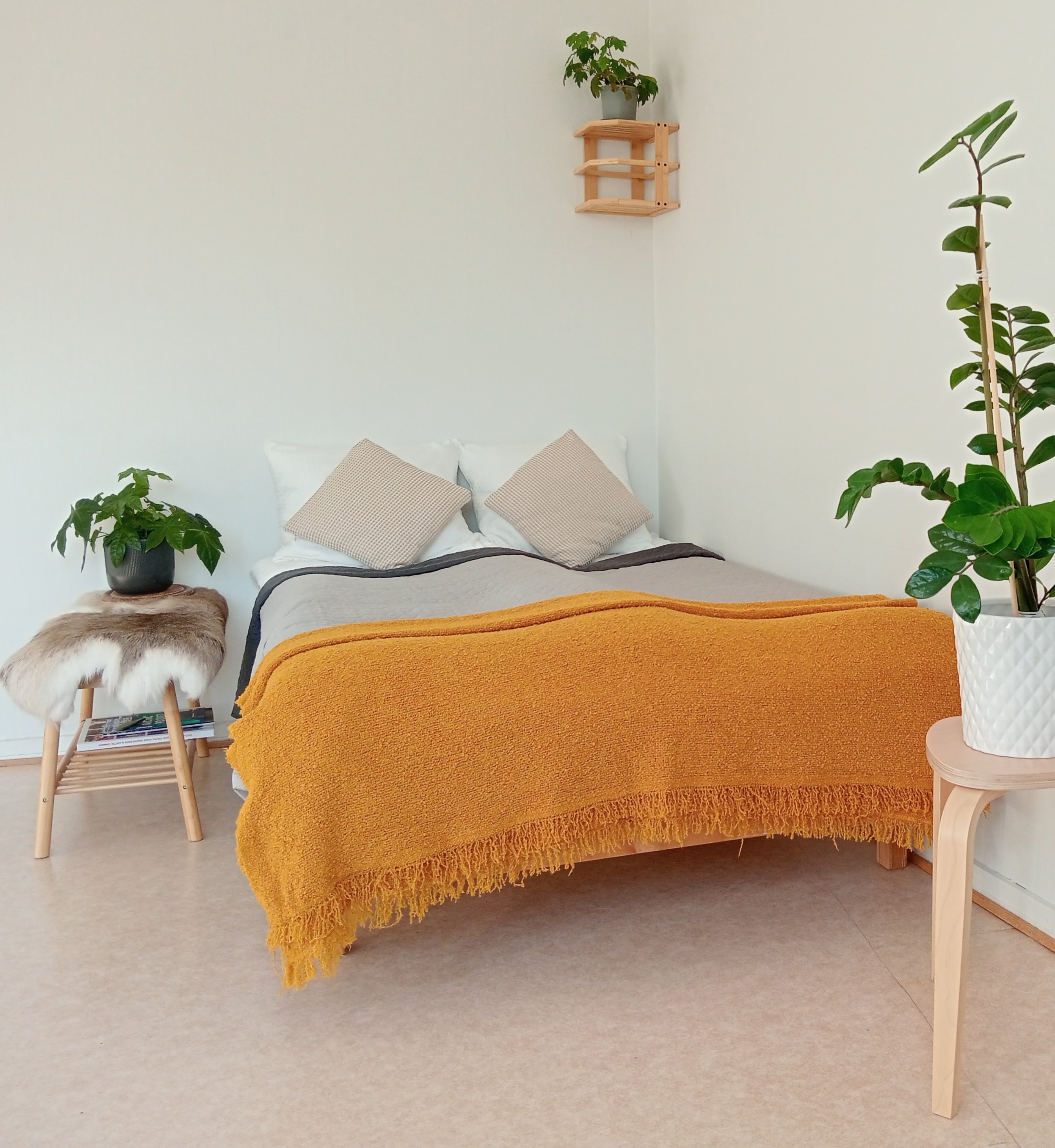 Furnished Studio – Available for Monthly Rent 2