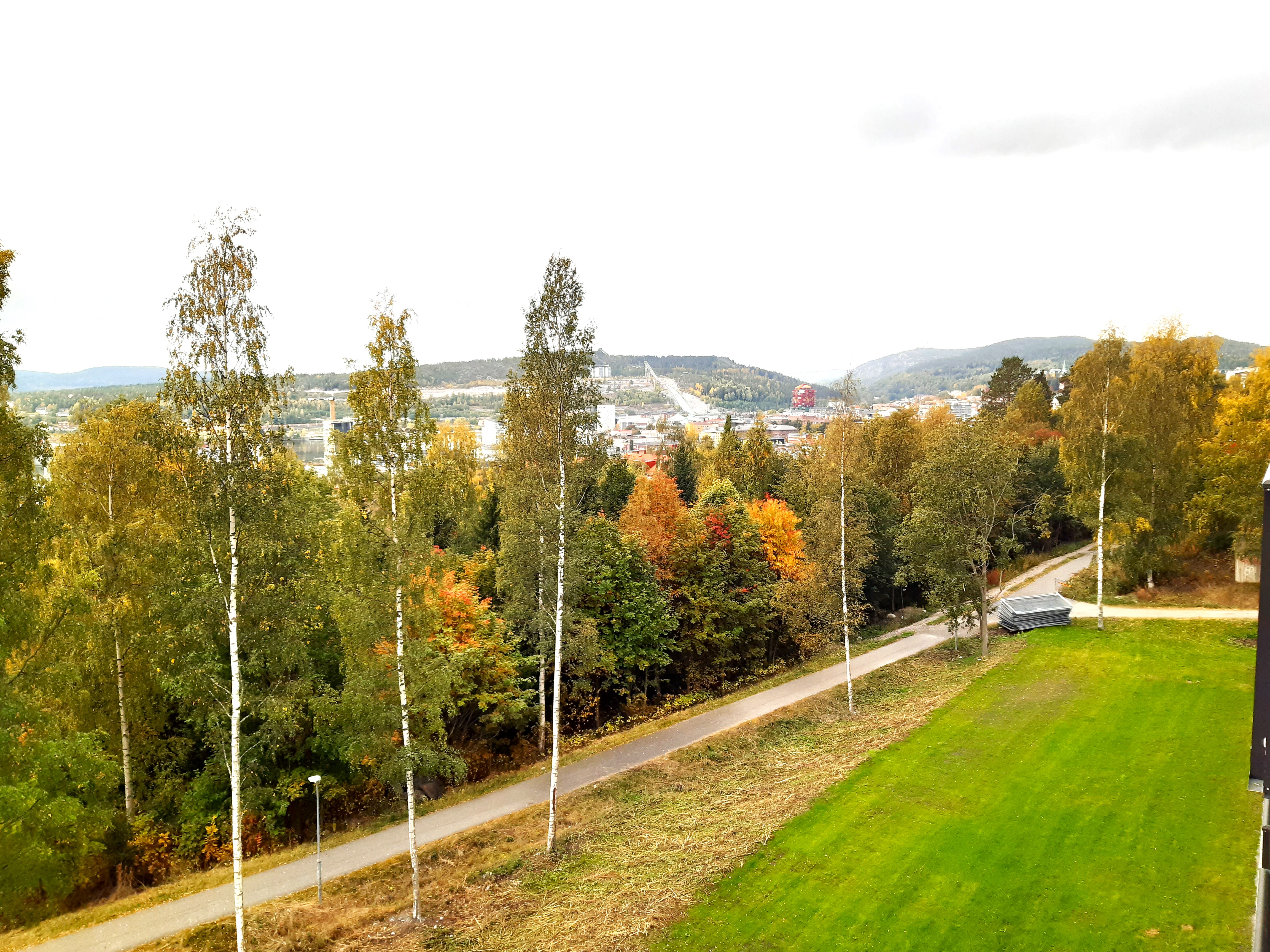 2 rok · 43 m² i Örnsköldsvik – bild 14