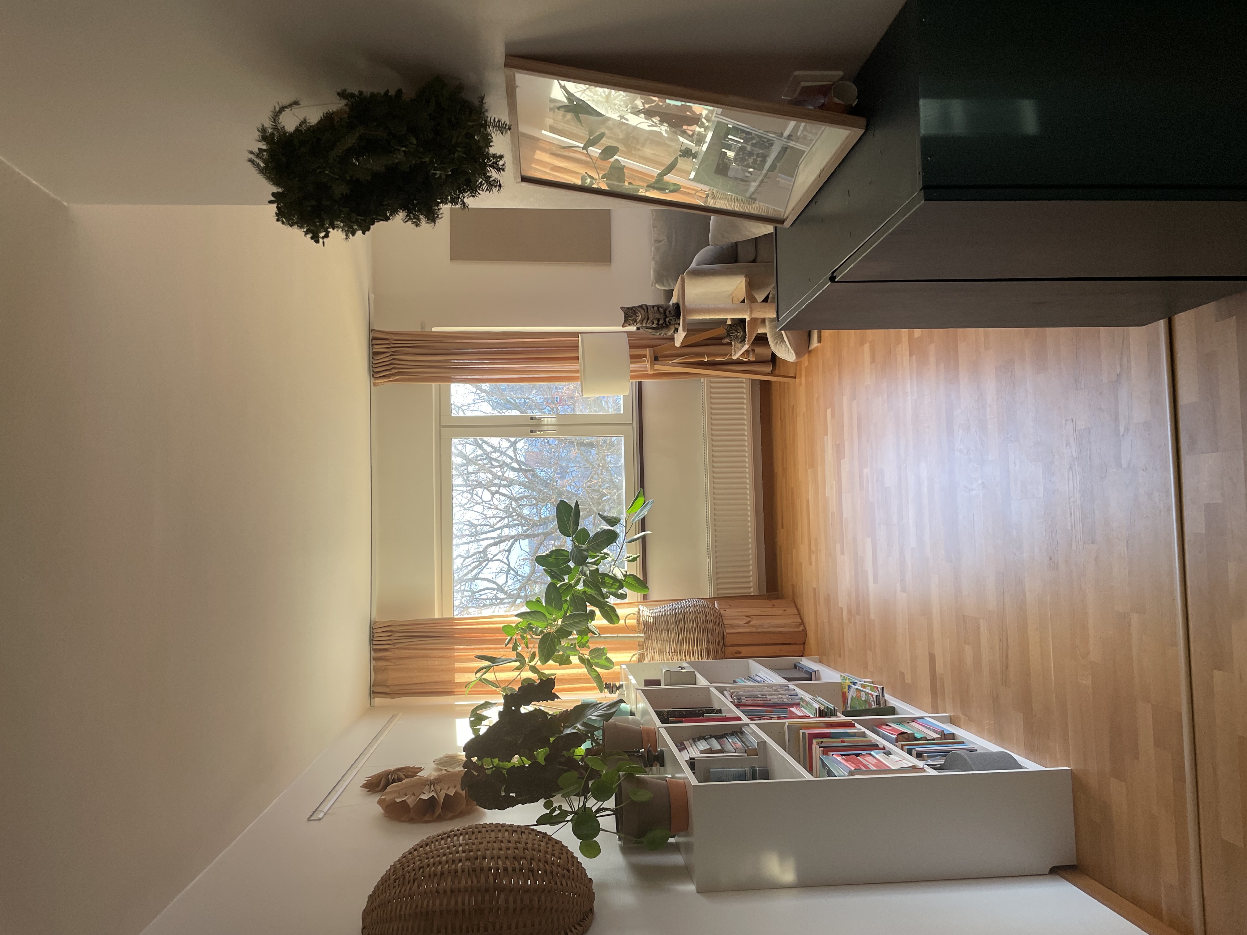 Danagatan, Göteborg — photo 2