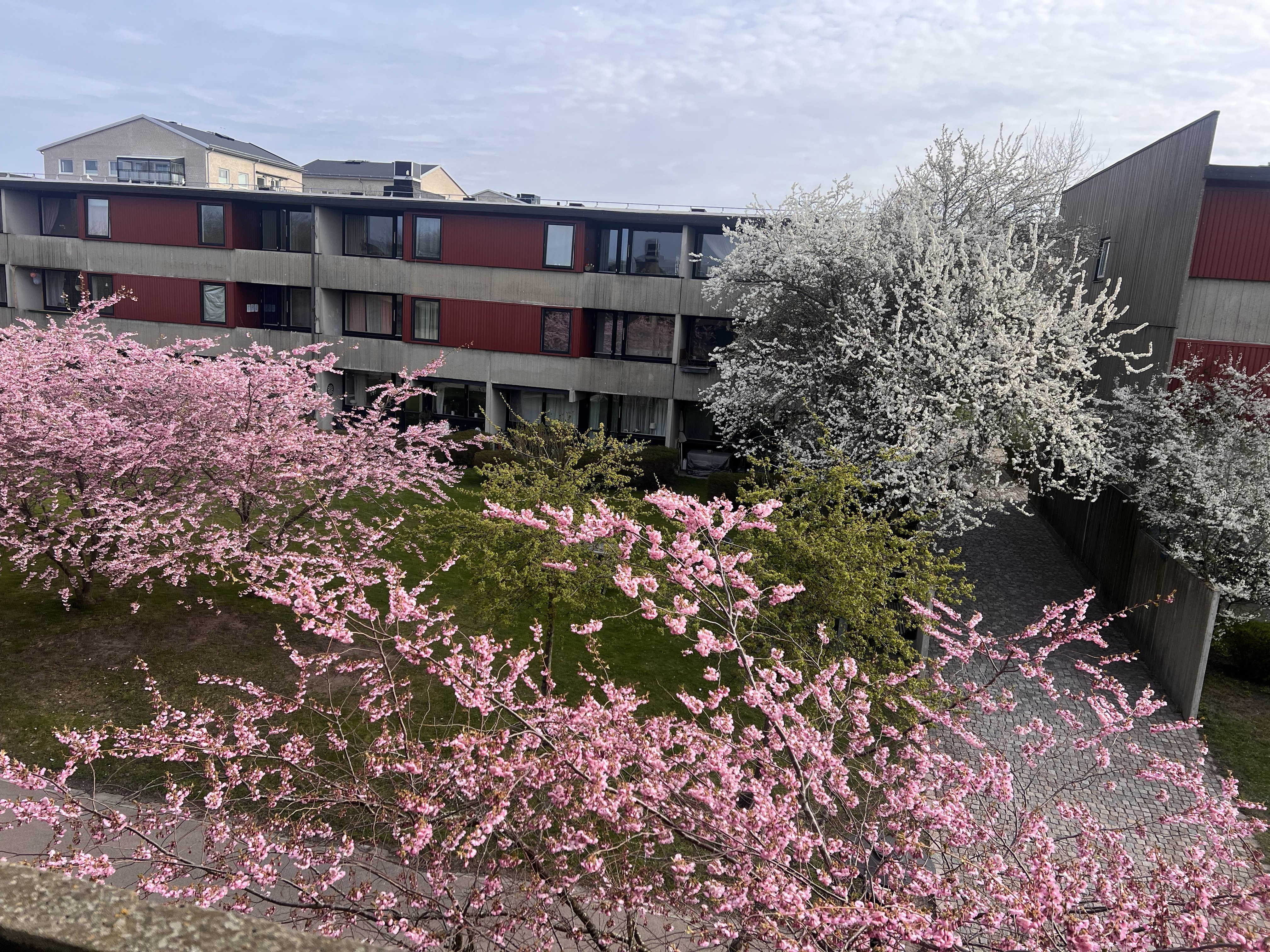 Vildandsvägen, Lund — photo 3