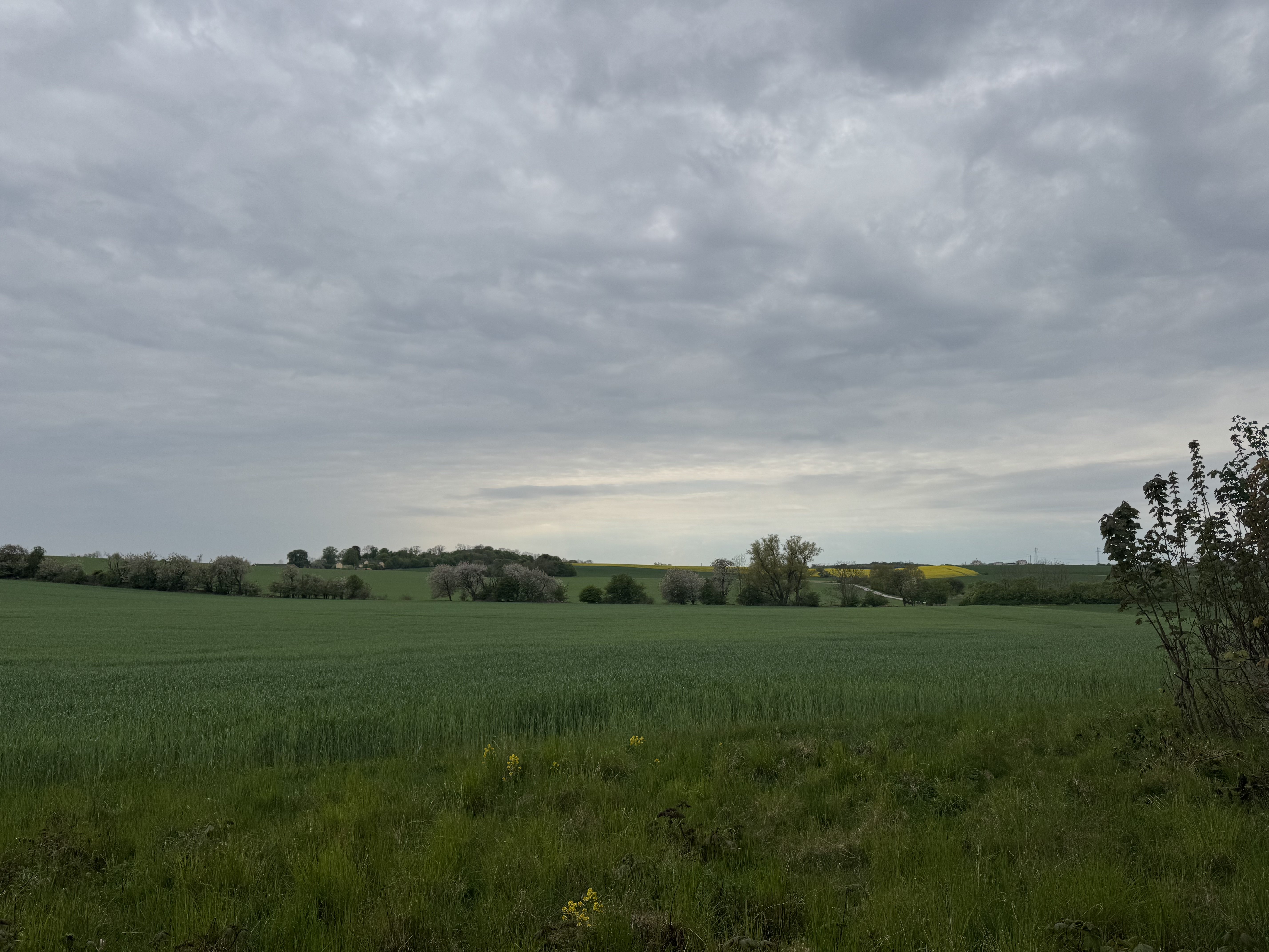 Hardeberga Boställe, Lund