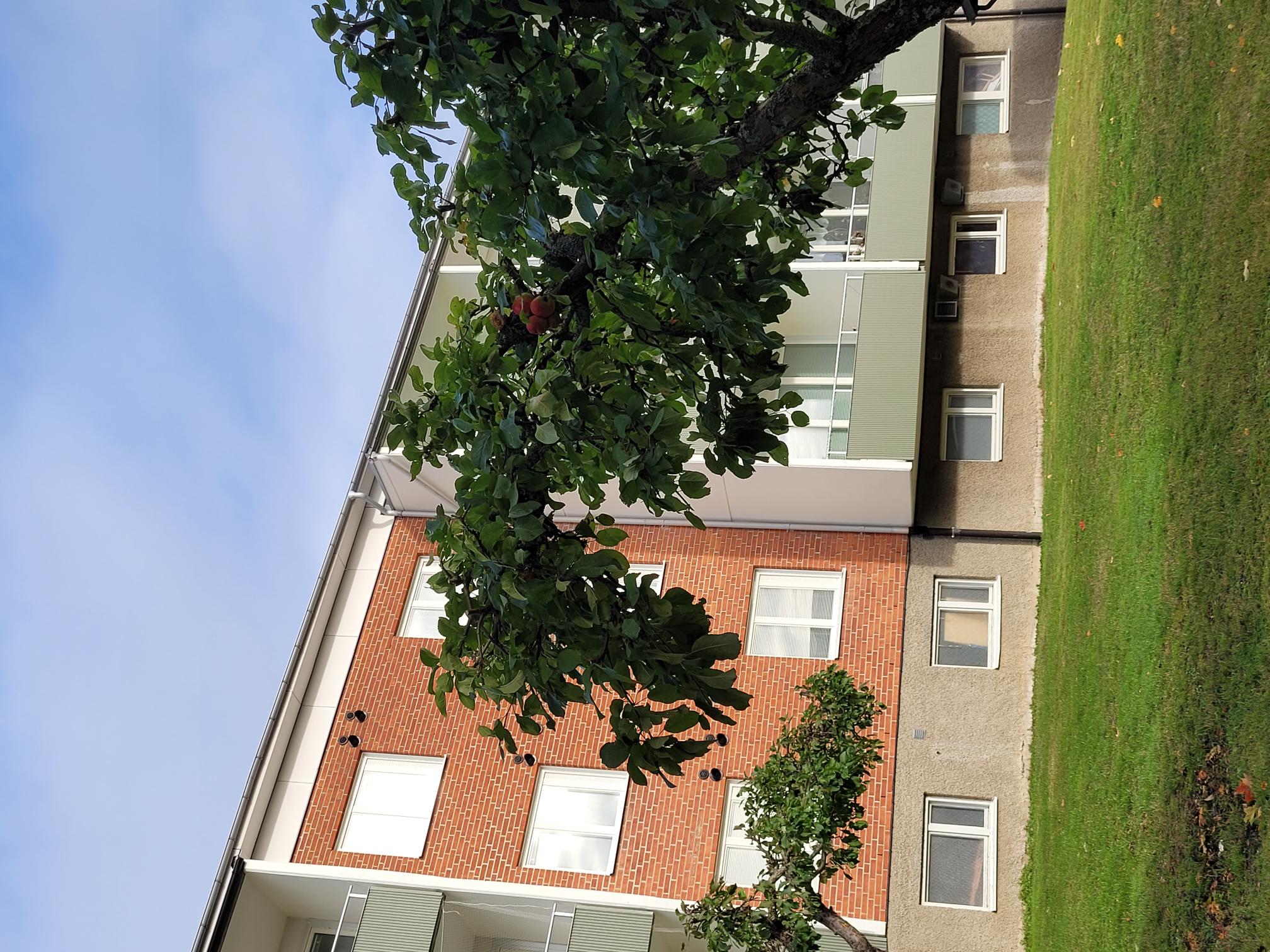 Hyreslägenhet på Vagnhärad i vagnharad