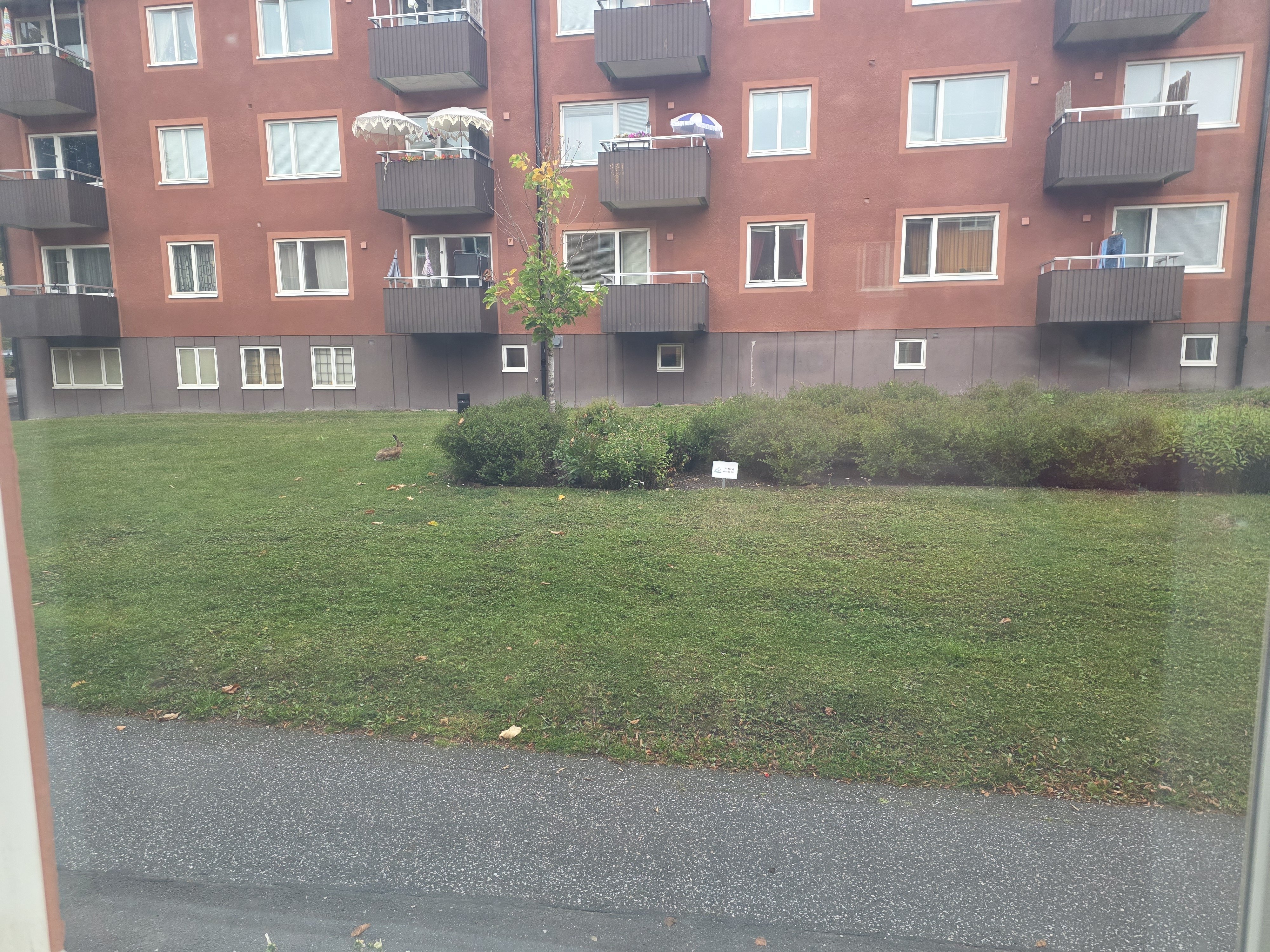 Lägenhet – Upplands Väsby, Vilunda - Bild 4