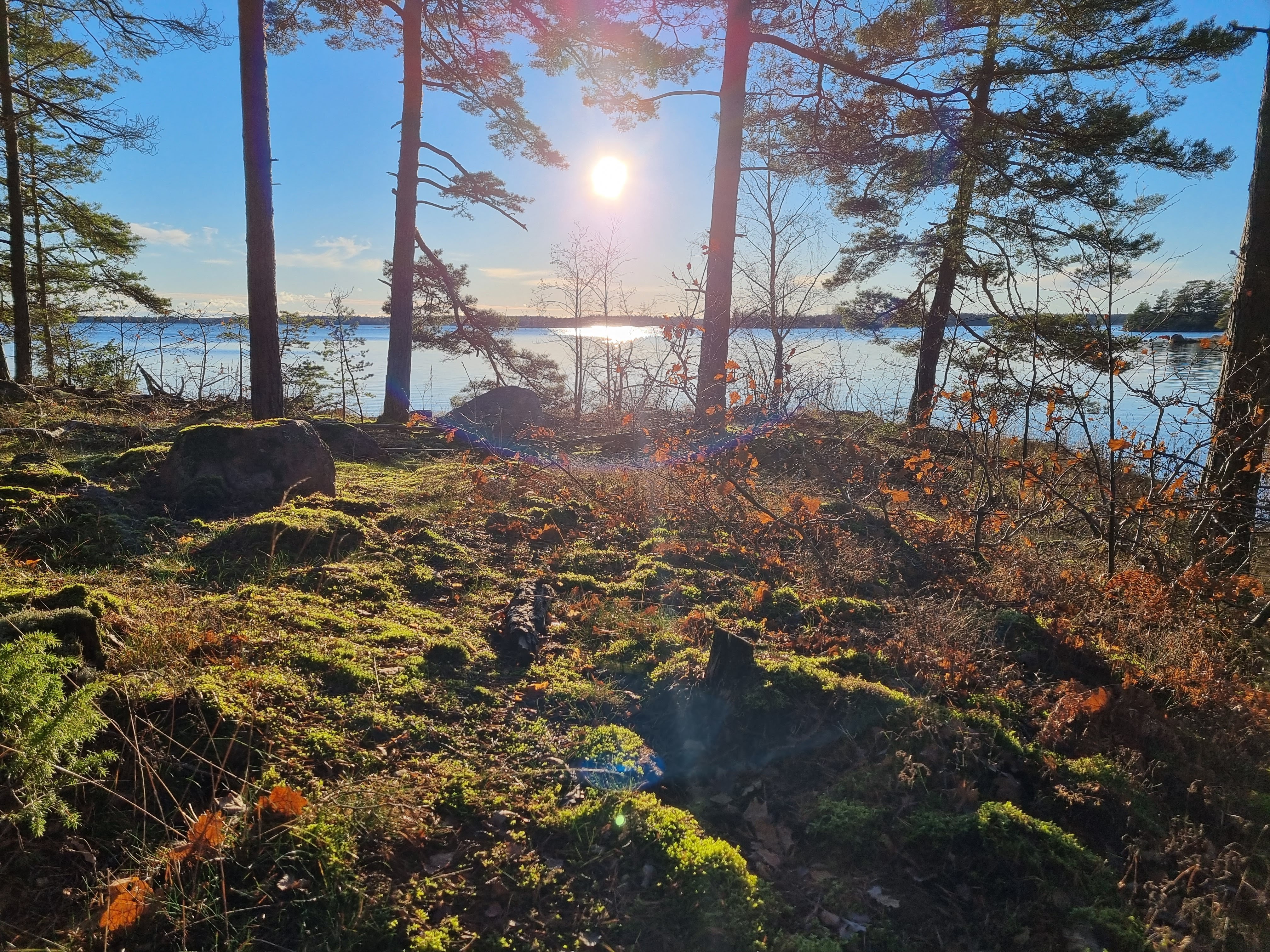3 rok · 55 m² i Figeholm – bild 11